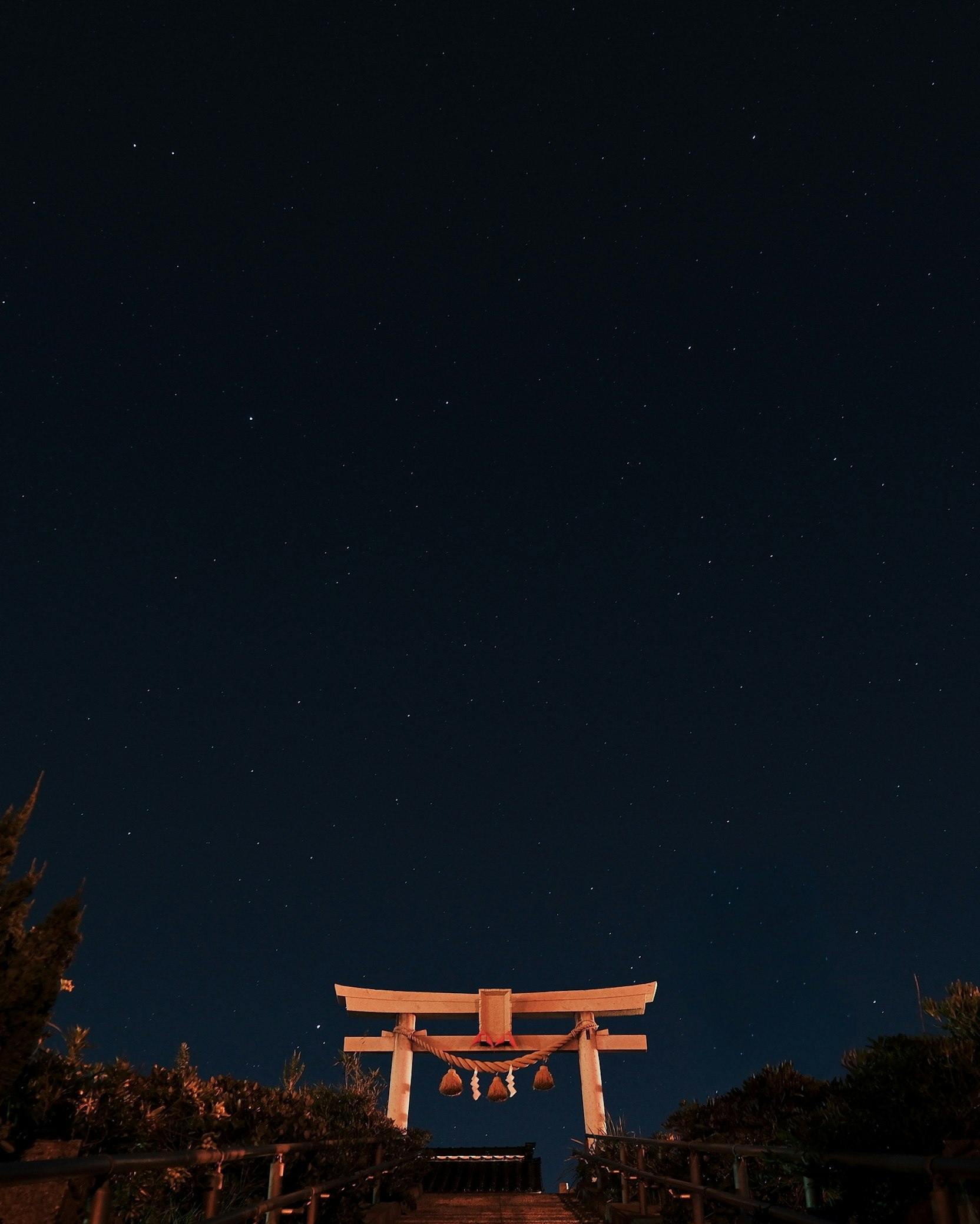 夜空の下に立つ鳥居と星