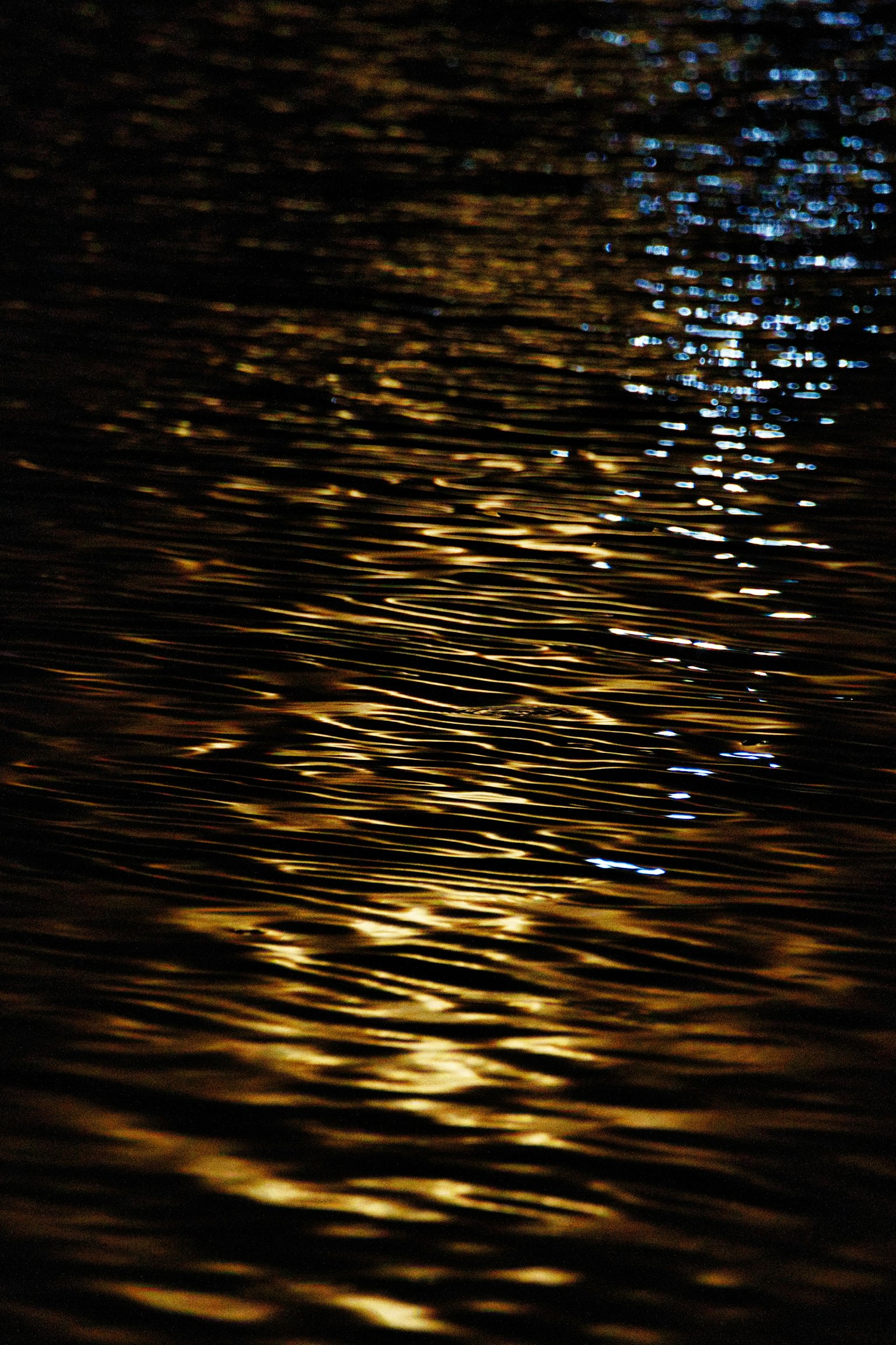 Hermosos reflejos de luz en la superficie del agua por la noche