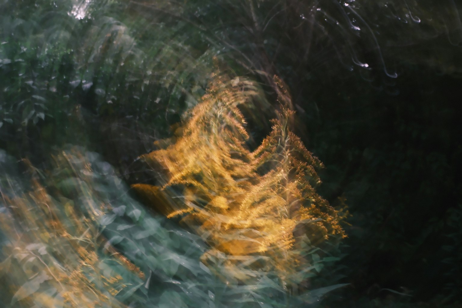 水面に映る光の反射が美しい抽象的な画像