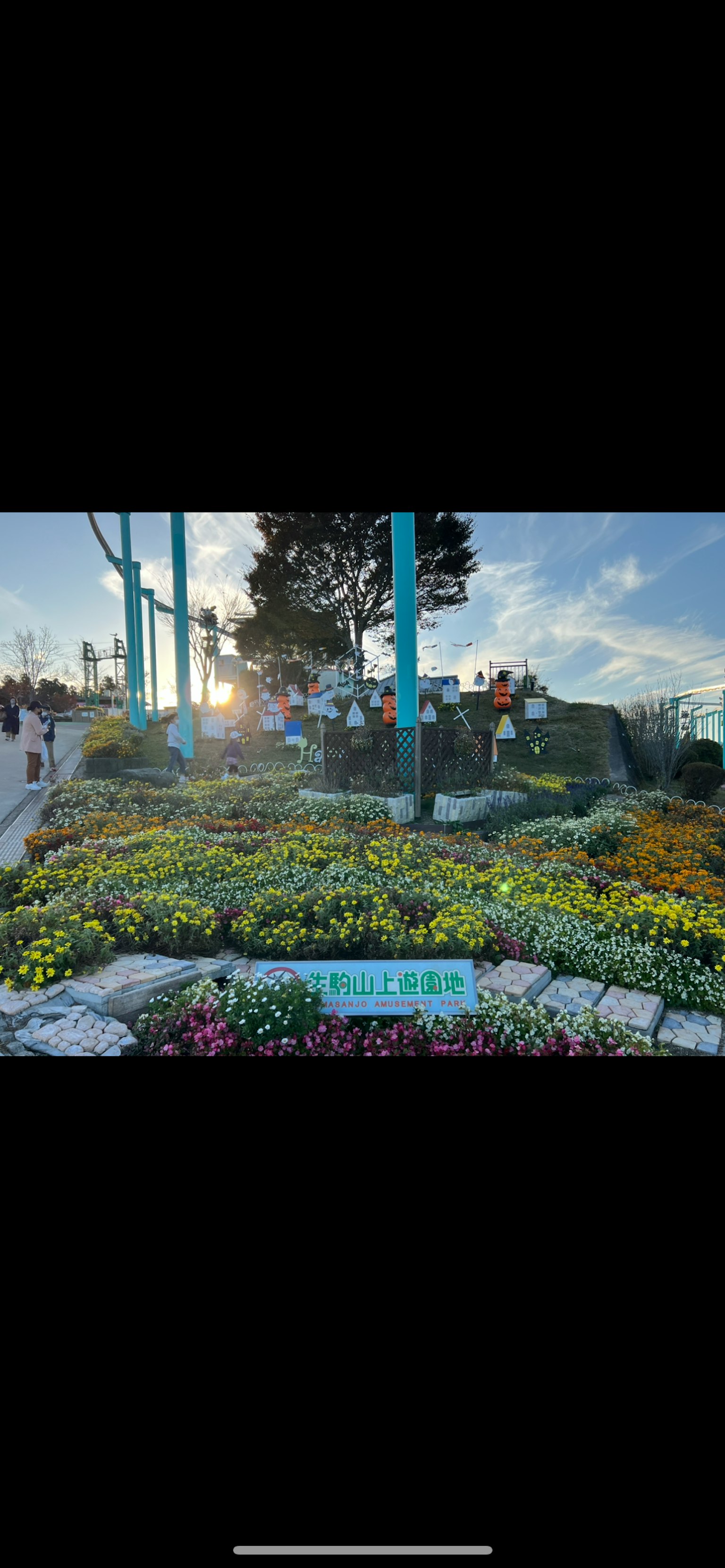 Vibrant flower garden in a park with sunlight and blue poles