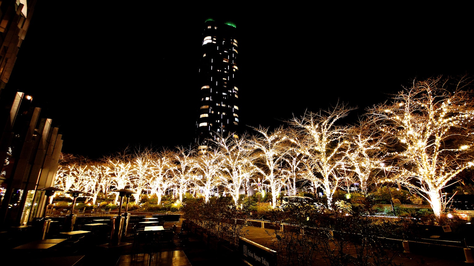 Cityscape at night with illuminated trees