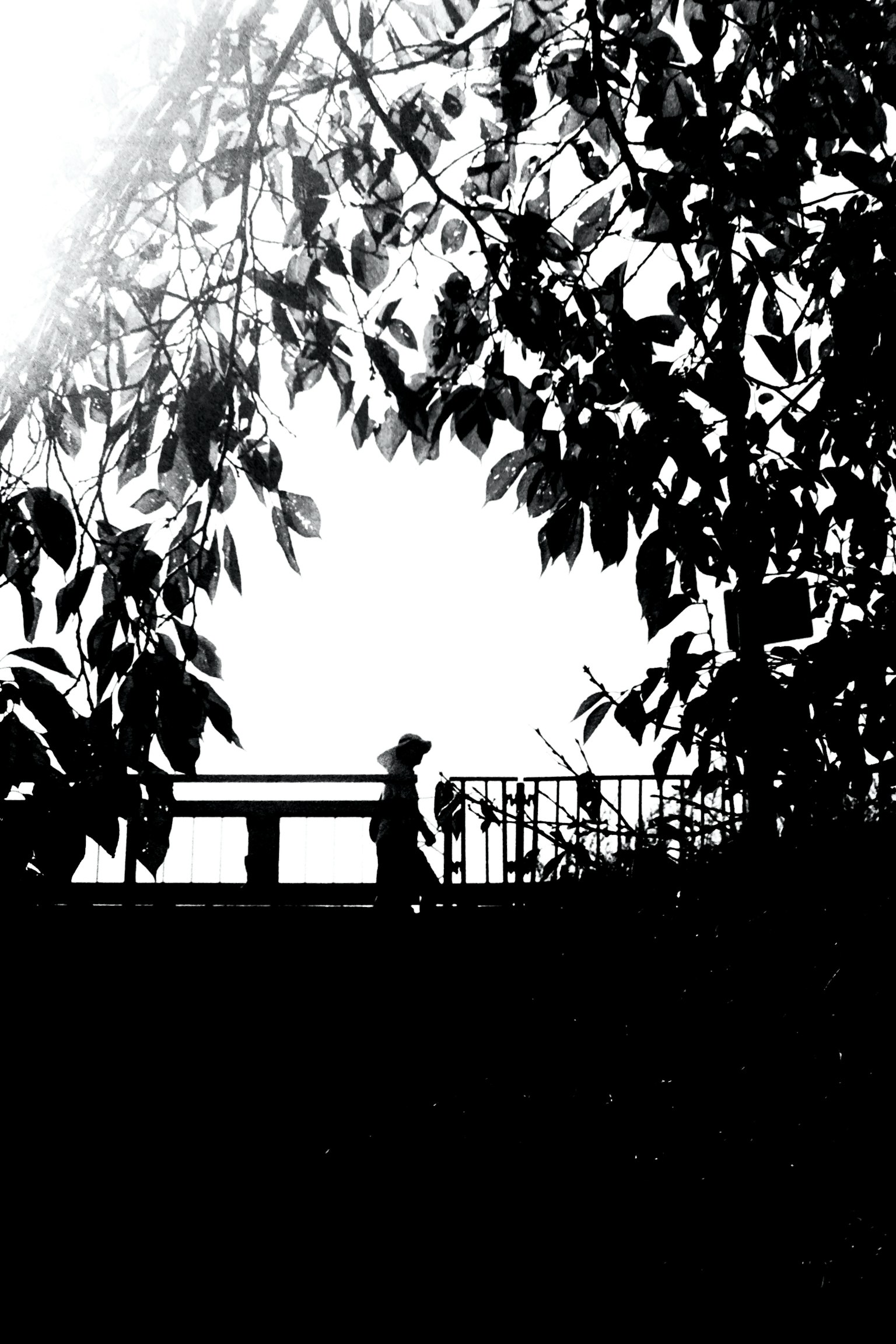 Silhouette di una persona che cammina su un ponte incorniciata da foglie