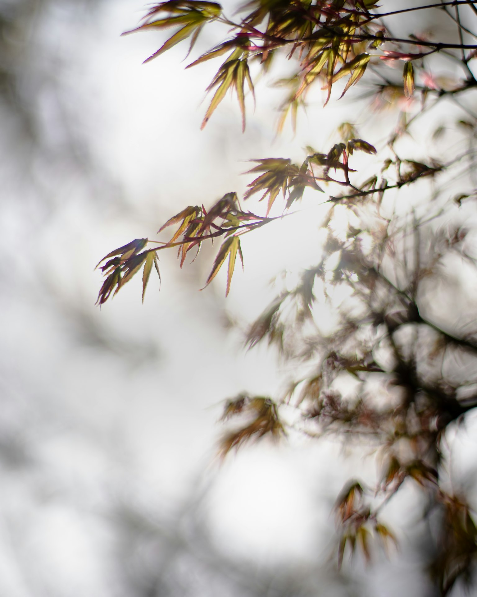 photo-Y5gAcaBbz5PuLzVMfa59-image