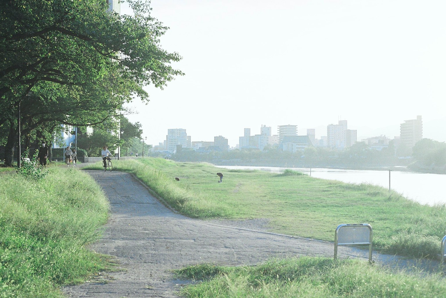 Promenade verdoyante au bord de la rivière avec skyline de la ville en arrière-plan