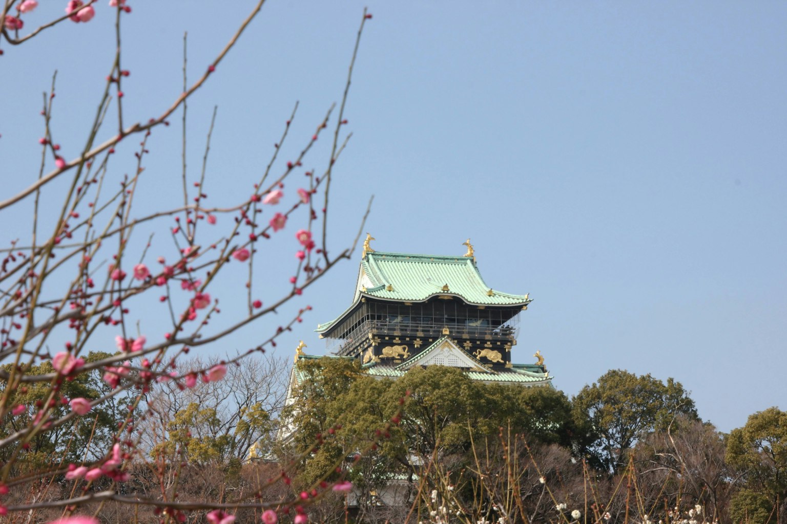 Castle tower visible among blooming peach flowers