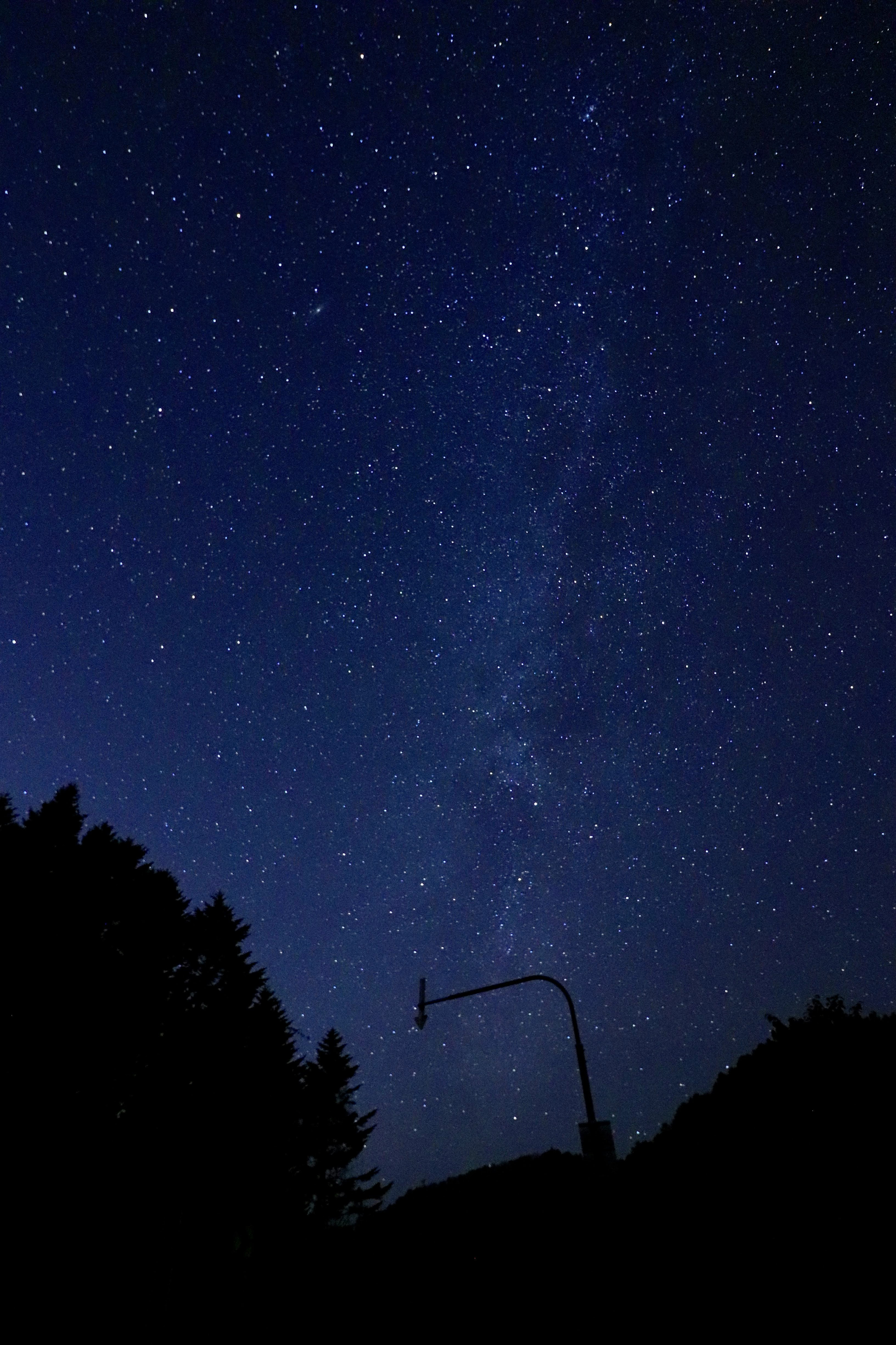 夜空に広がる星空と街灯のシルエット