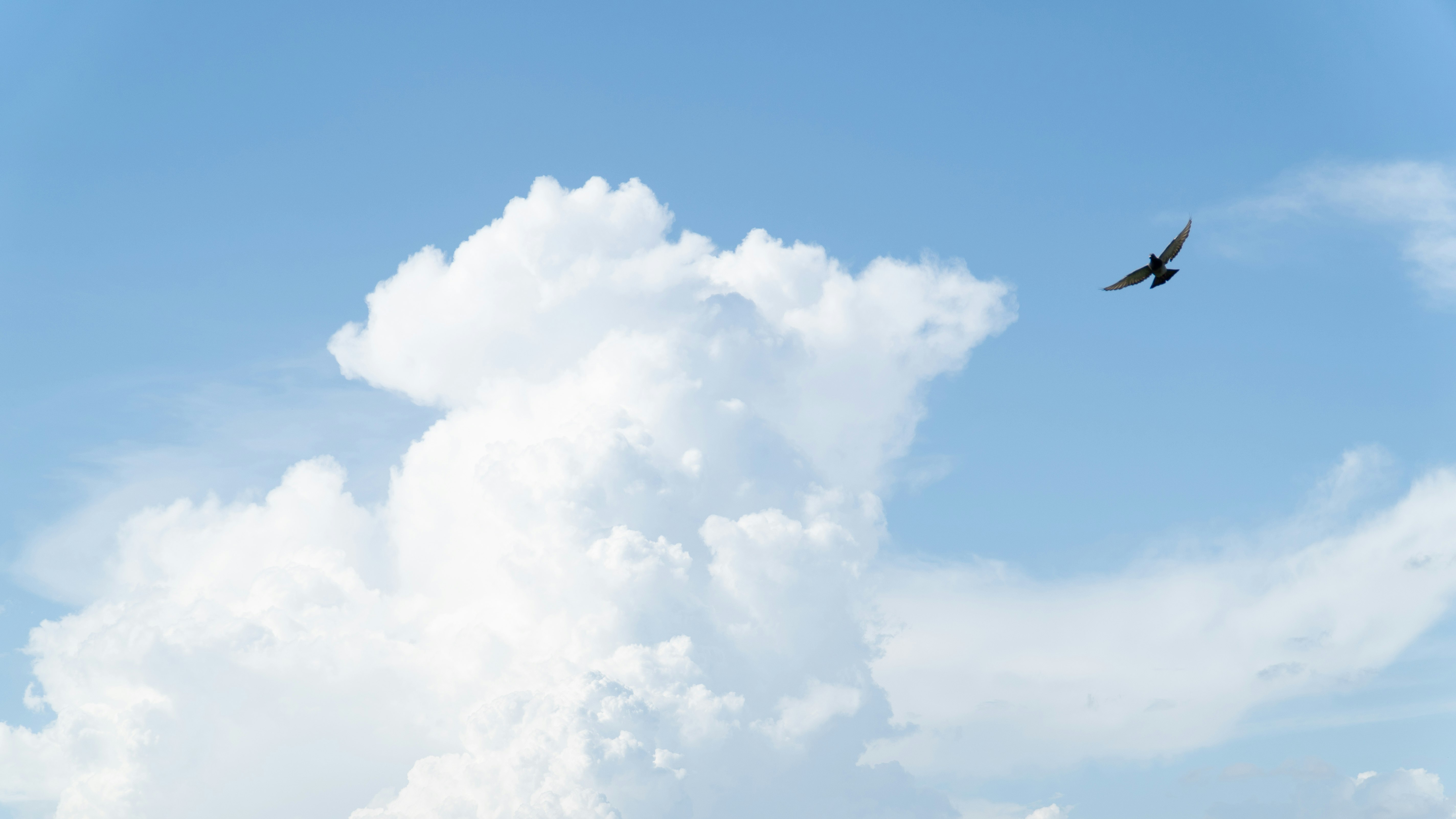 青空に浮かぶ大きな雲と飛行機雲のある空