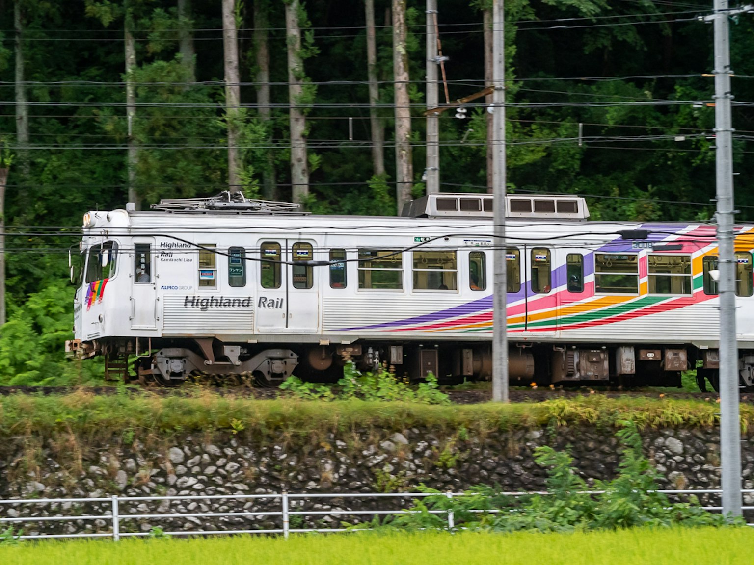 Treno Highland Rail colorato che si muove su uno sfondo verde