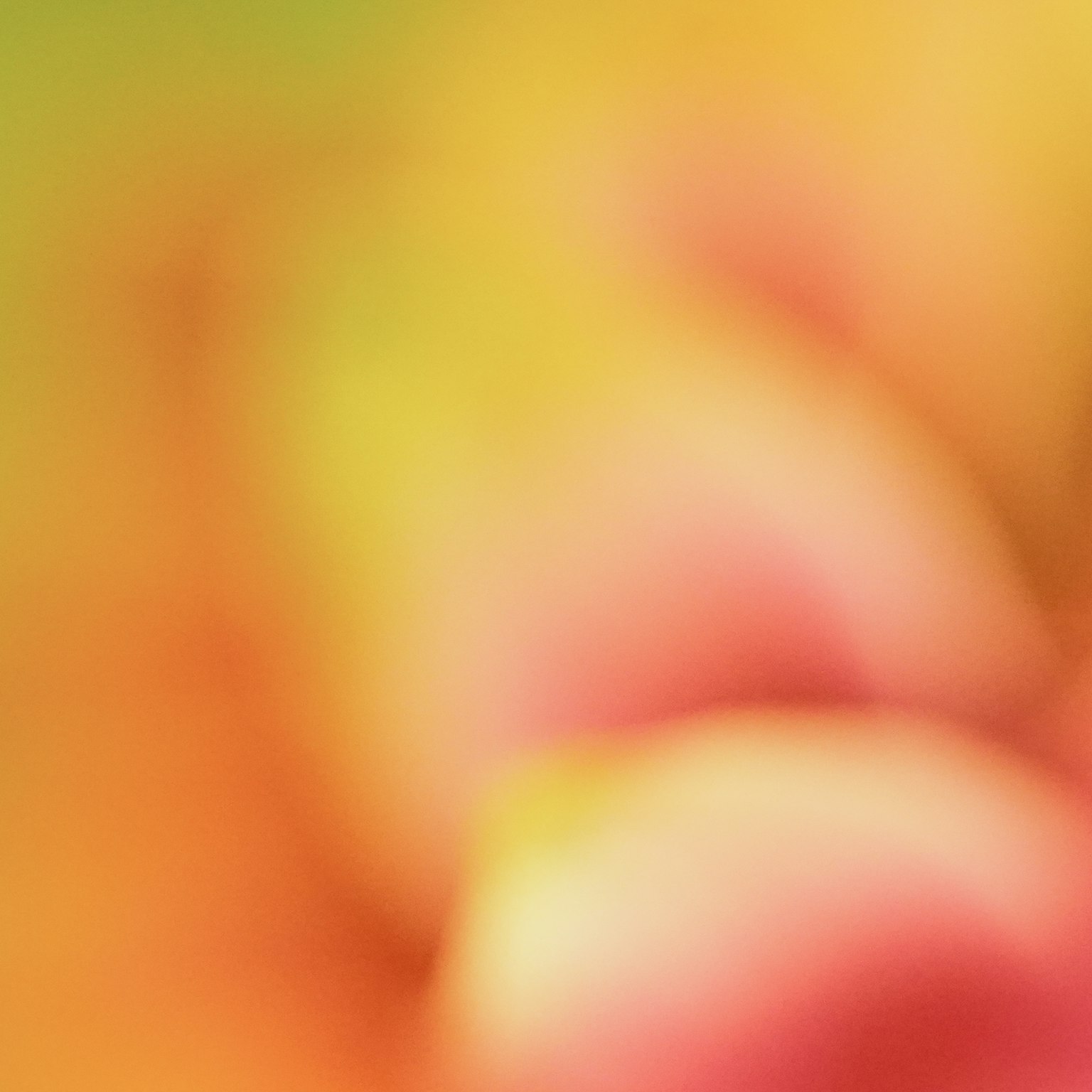 Latar belakang bunga yang lembut dan buram dengan warna cerah