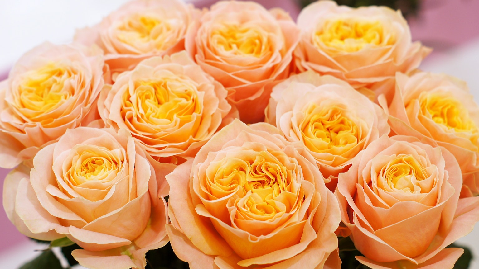 Un bellissimo bouquet di rose arancioni disposte insieme