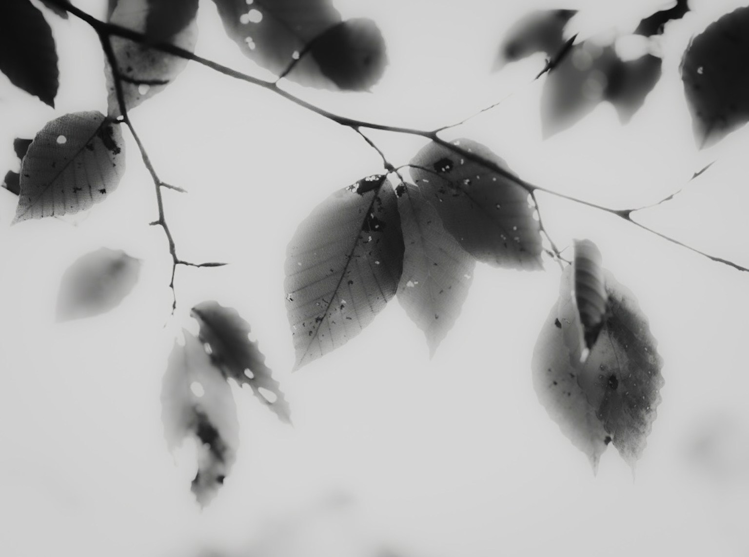 photo-Y8ZmG5j04dbVaENbxgqE-image