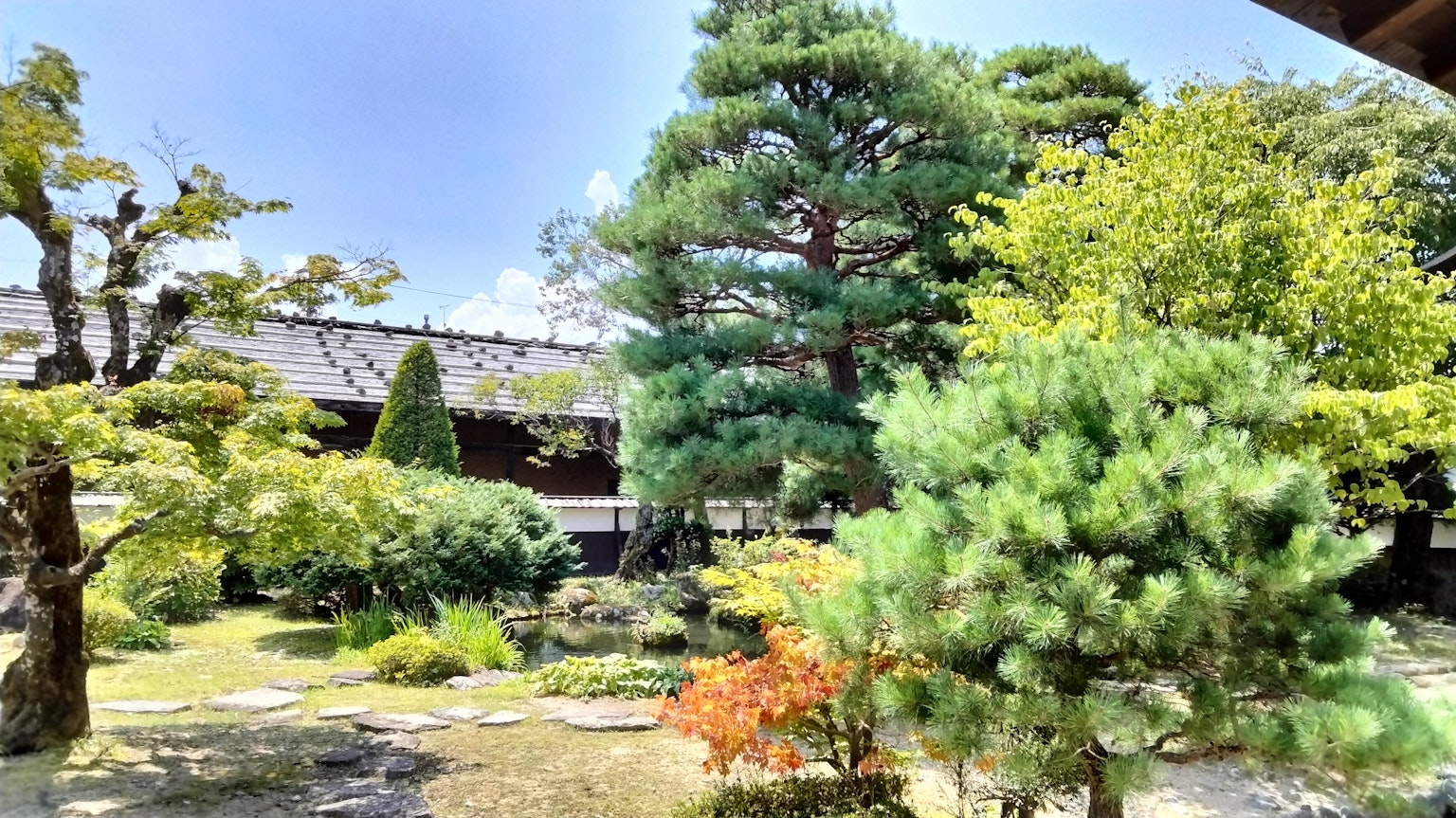 Bellissimo paesaggio di giardino giapponese con alberi rigogliosi e sentiero di pietra