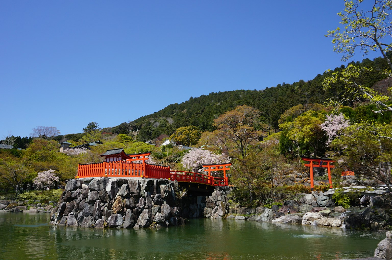蓝天之下的日本花园景观，红色桥和池塘