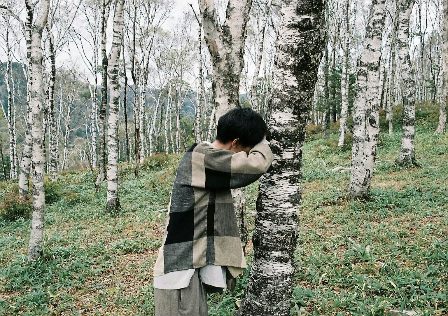 Person leaning against a tree in a birch forest wearing a relaxed outfit