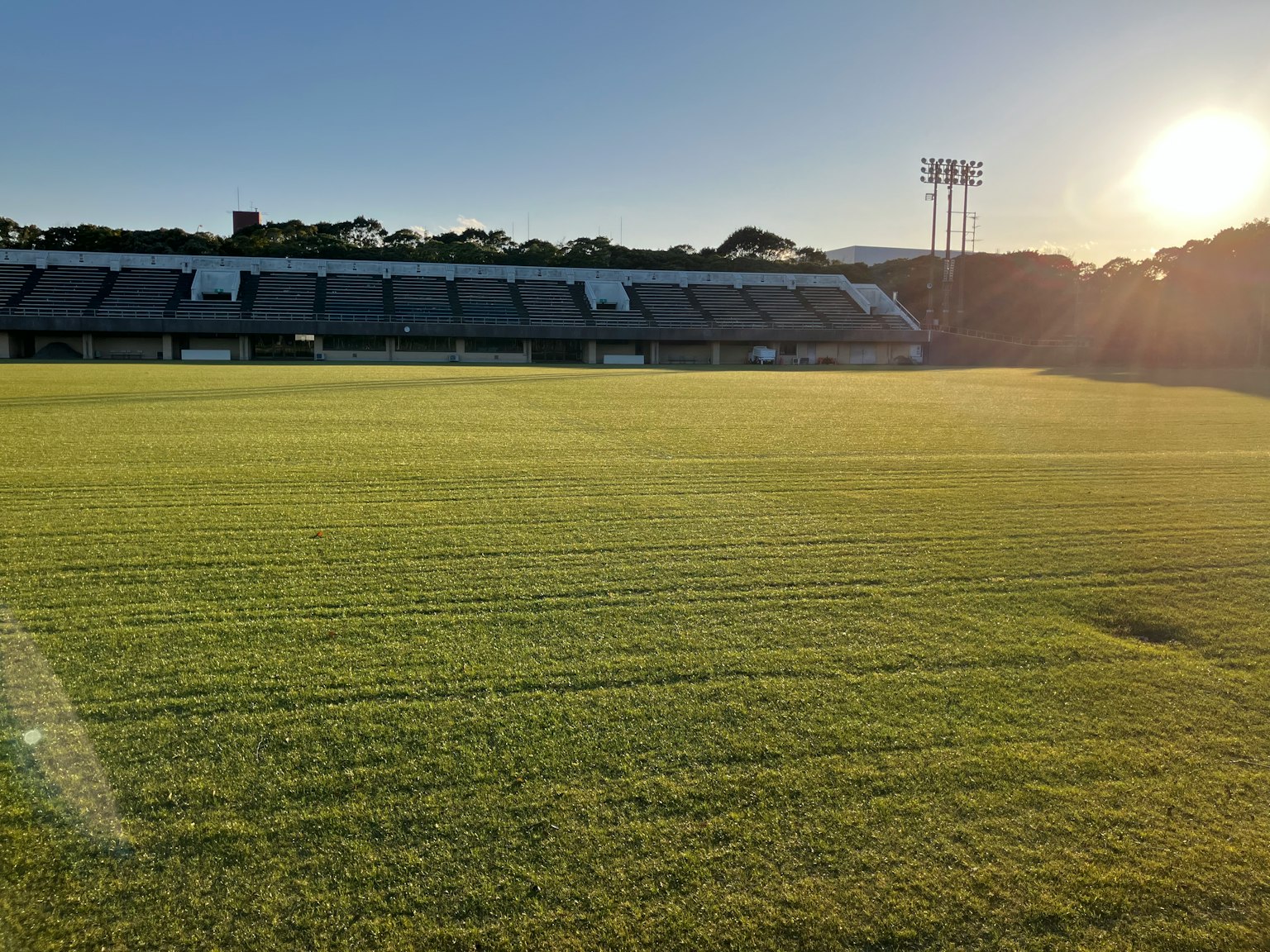 Campo da calcio ben curato sotto la luce solare brillante con tribune