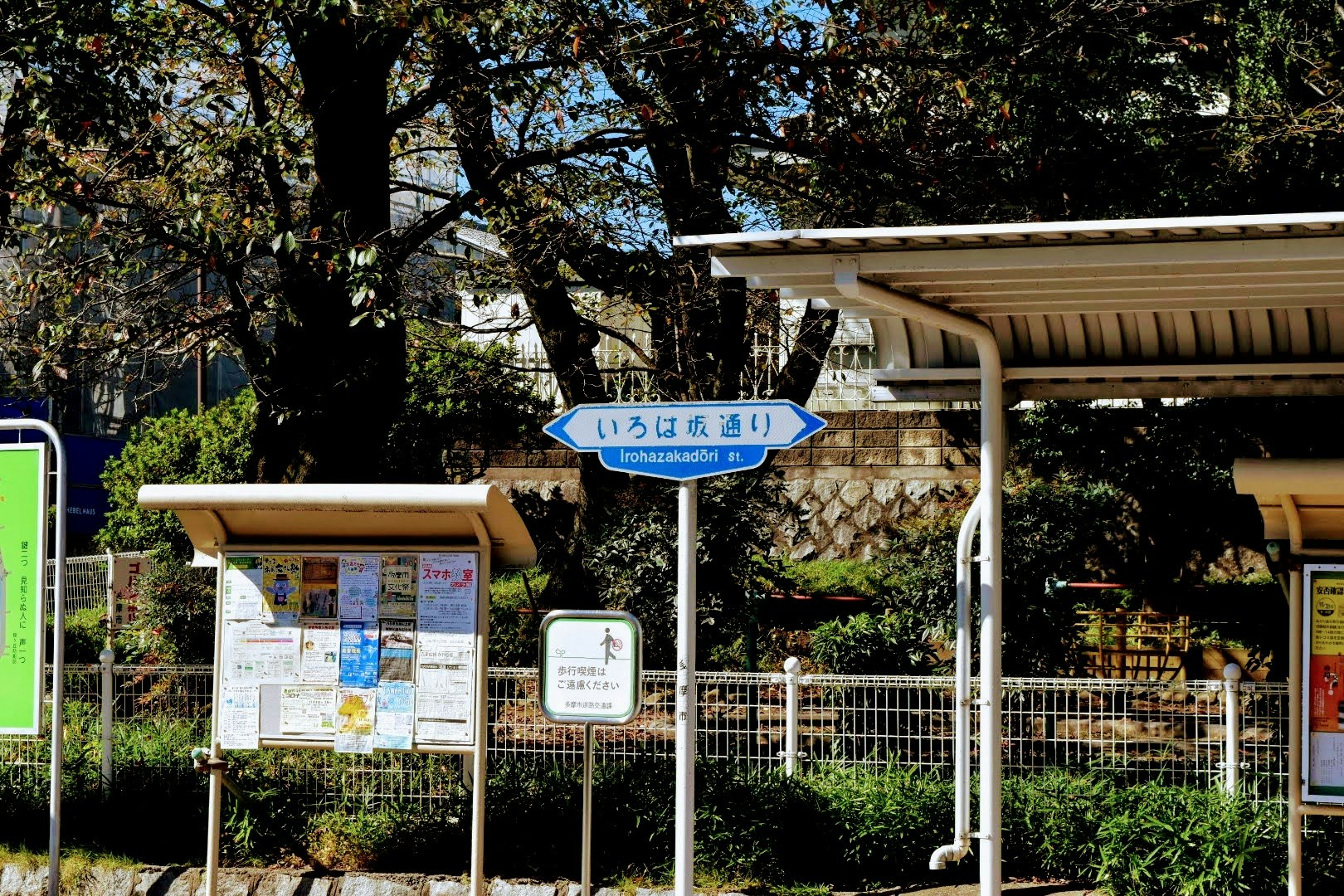 樹木間的公車站牌與資訊告示