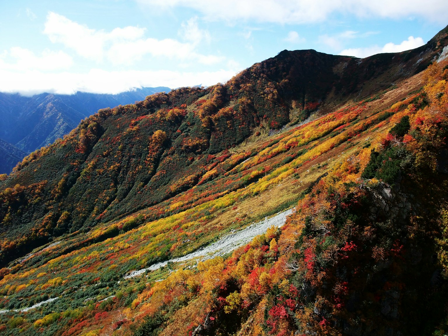 Paesaggio montano ricco di colori autunnali foglie verdi e rosse vibranti