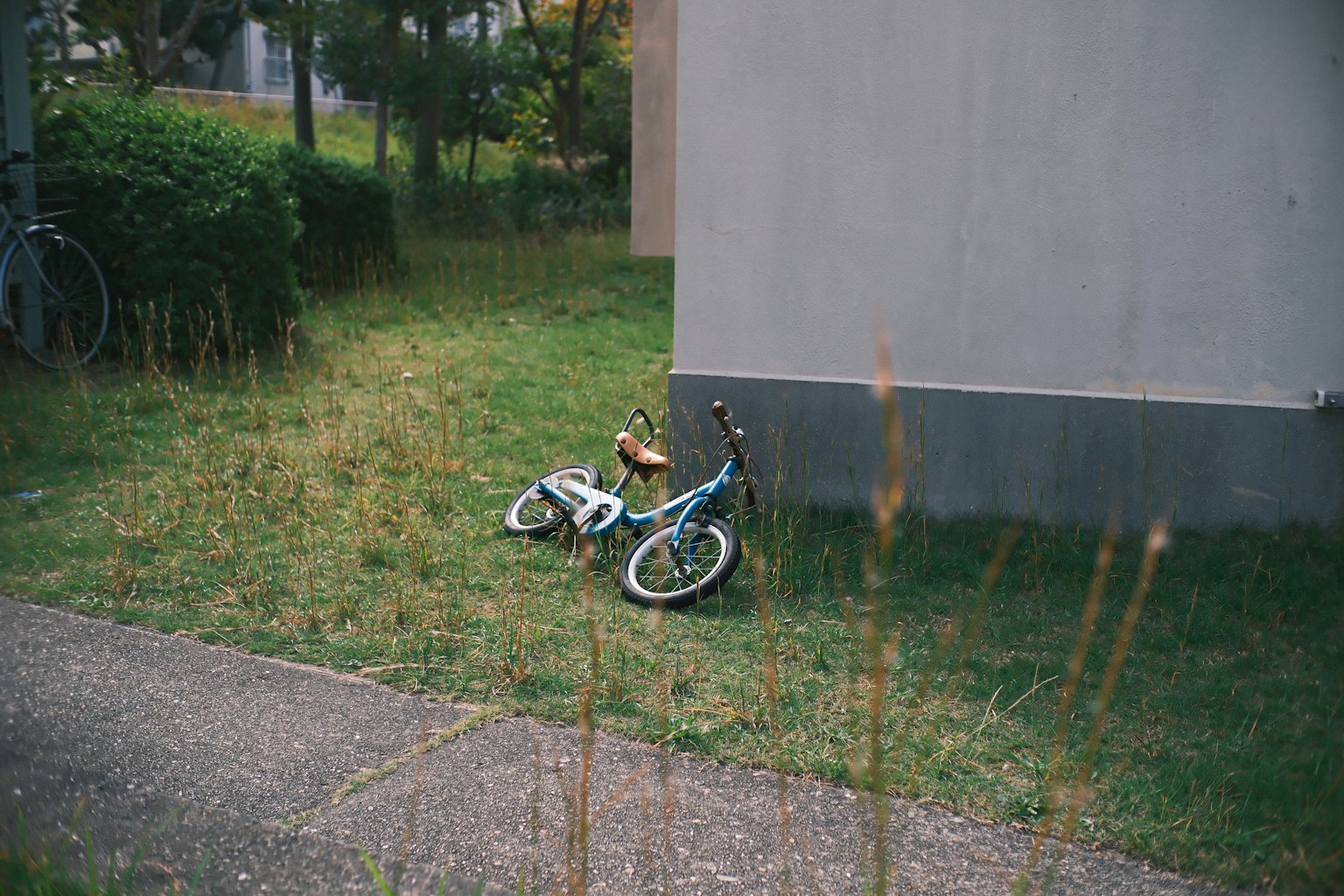 photo-YB3J2XitZ6pK9y1MZ6KD-image