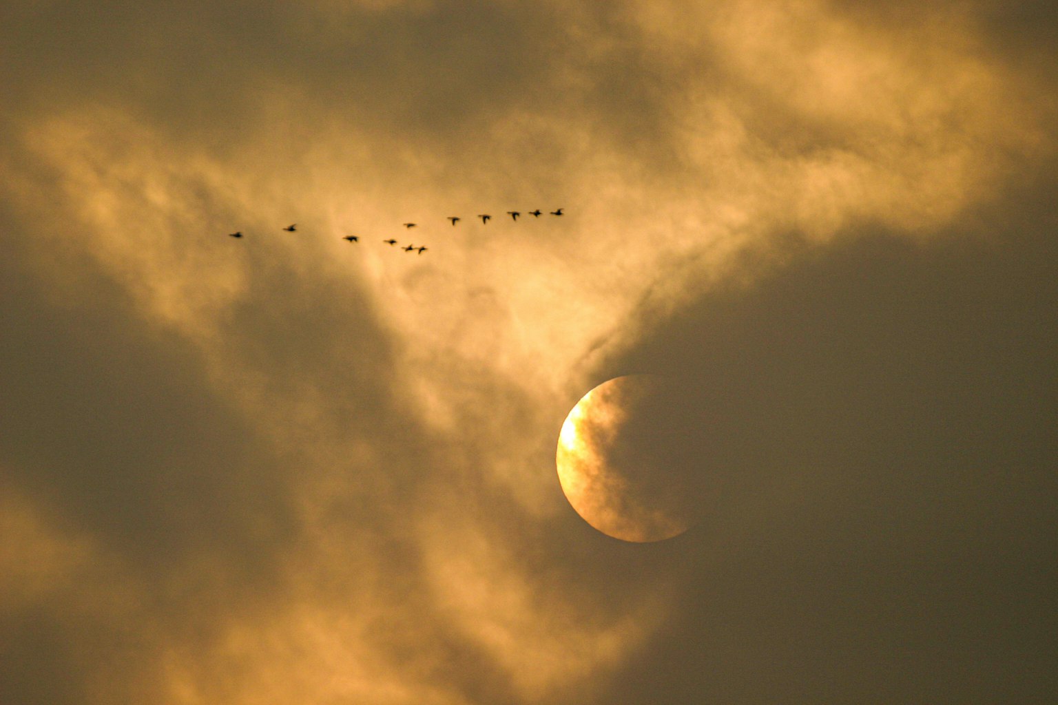 Mond teilweise von Wolken verdeckt mit einem Schwarm fliegender Vögel