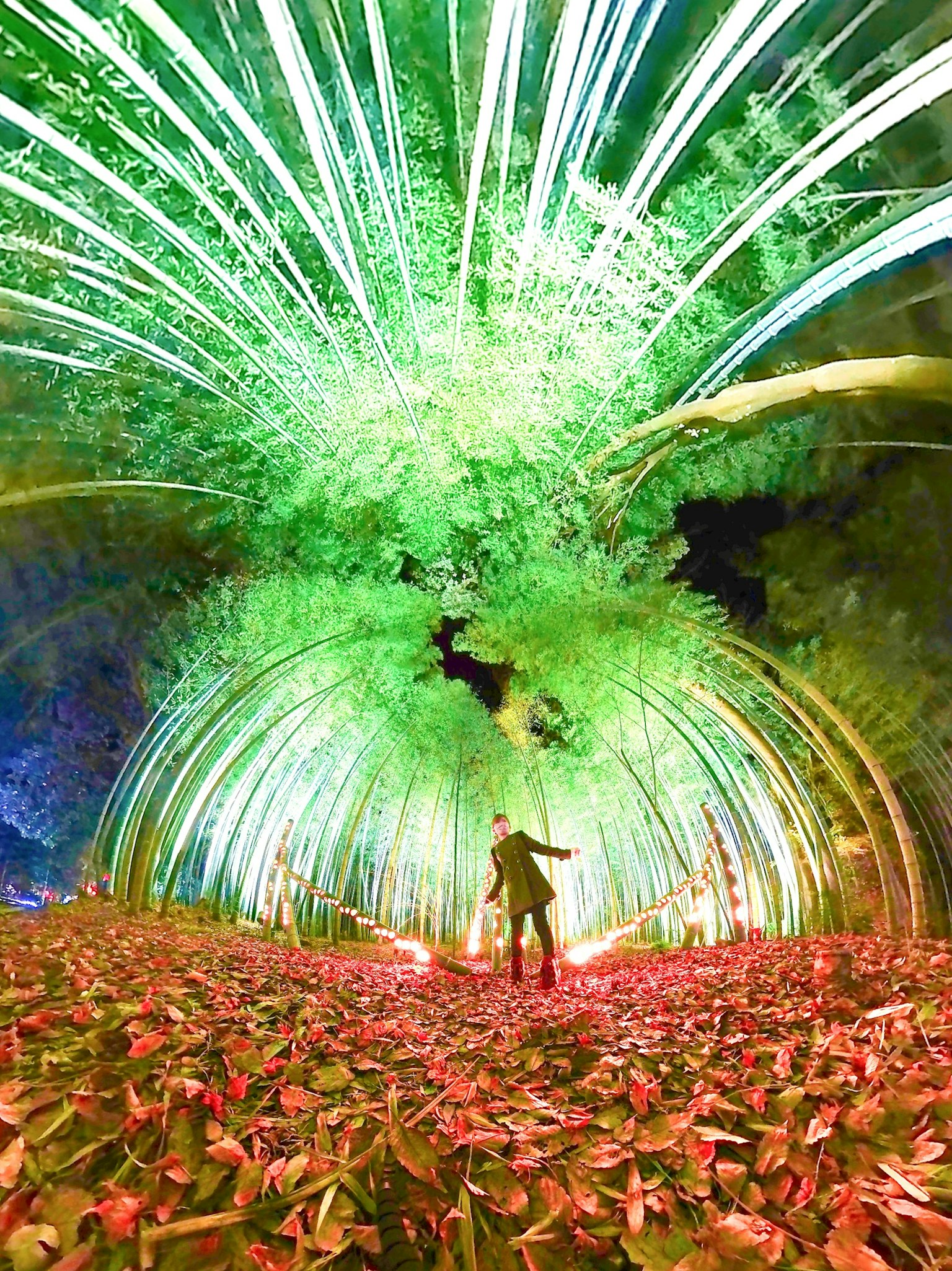 ภูมิทัศน์อันแฟนตาซีกับอุโมงค์แสงสีเขียวและพืชหลากสี