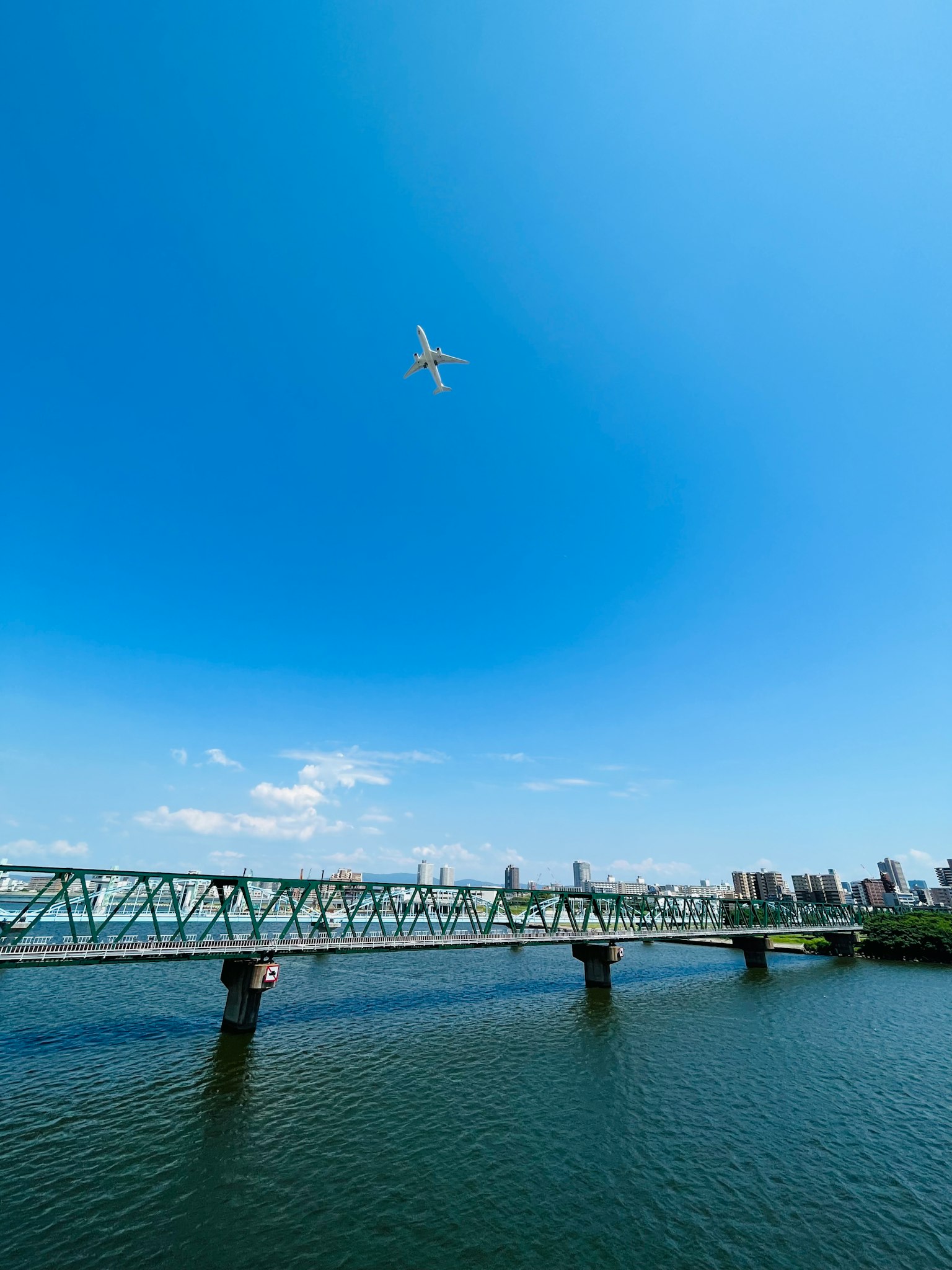 蓝天之下的河流风景，有一座桥和一只飞鸟
