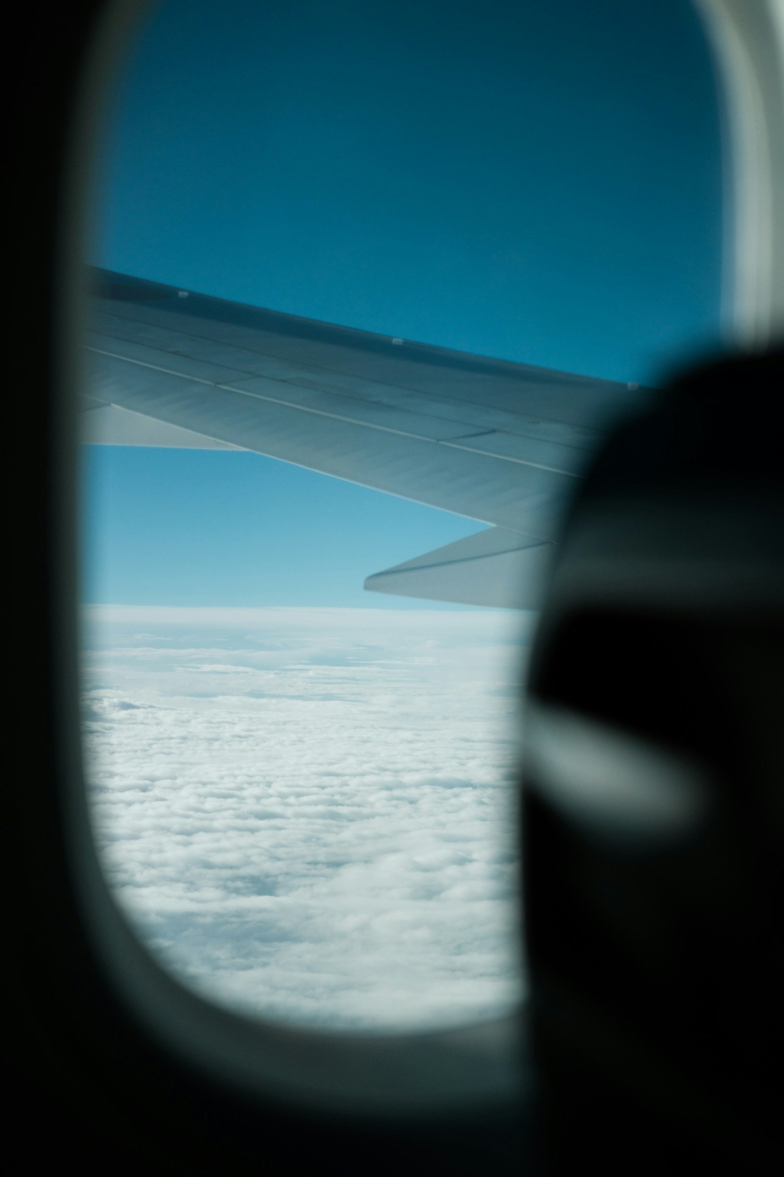 飛行機の窓から見える雲海と青空の景色