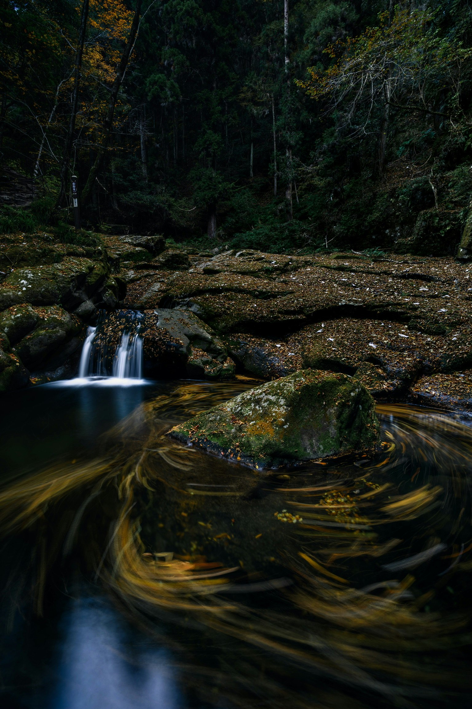 暗い森の中の小さな滝と岩の流れが見える静かな風景