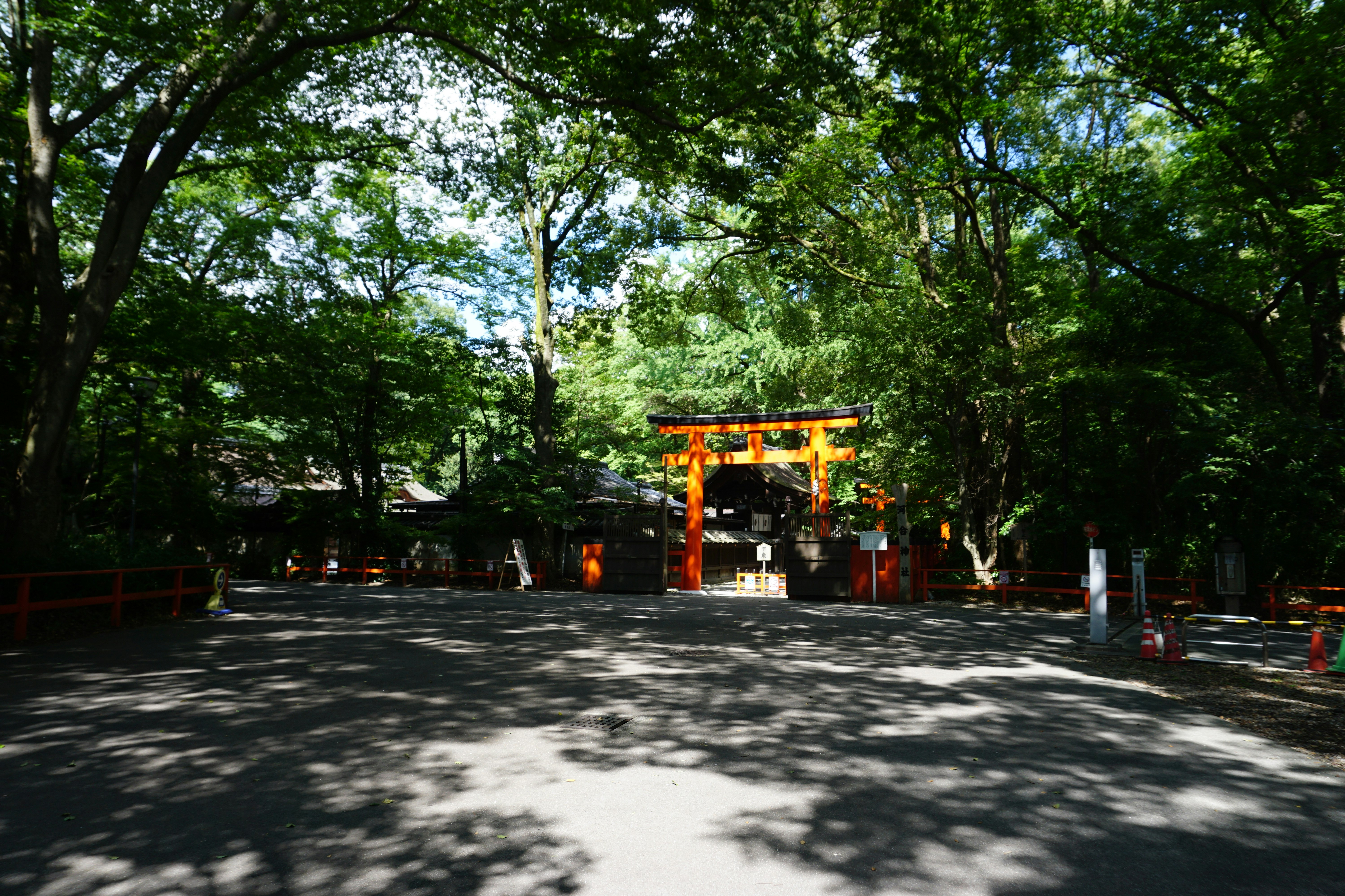 木々に囲まれた神社の鳥居と参道のある境内
