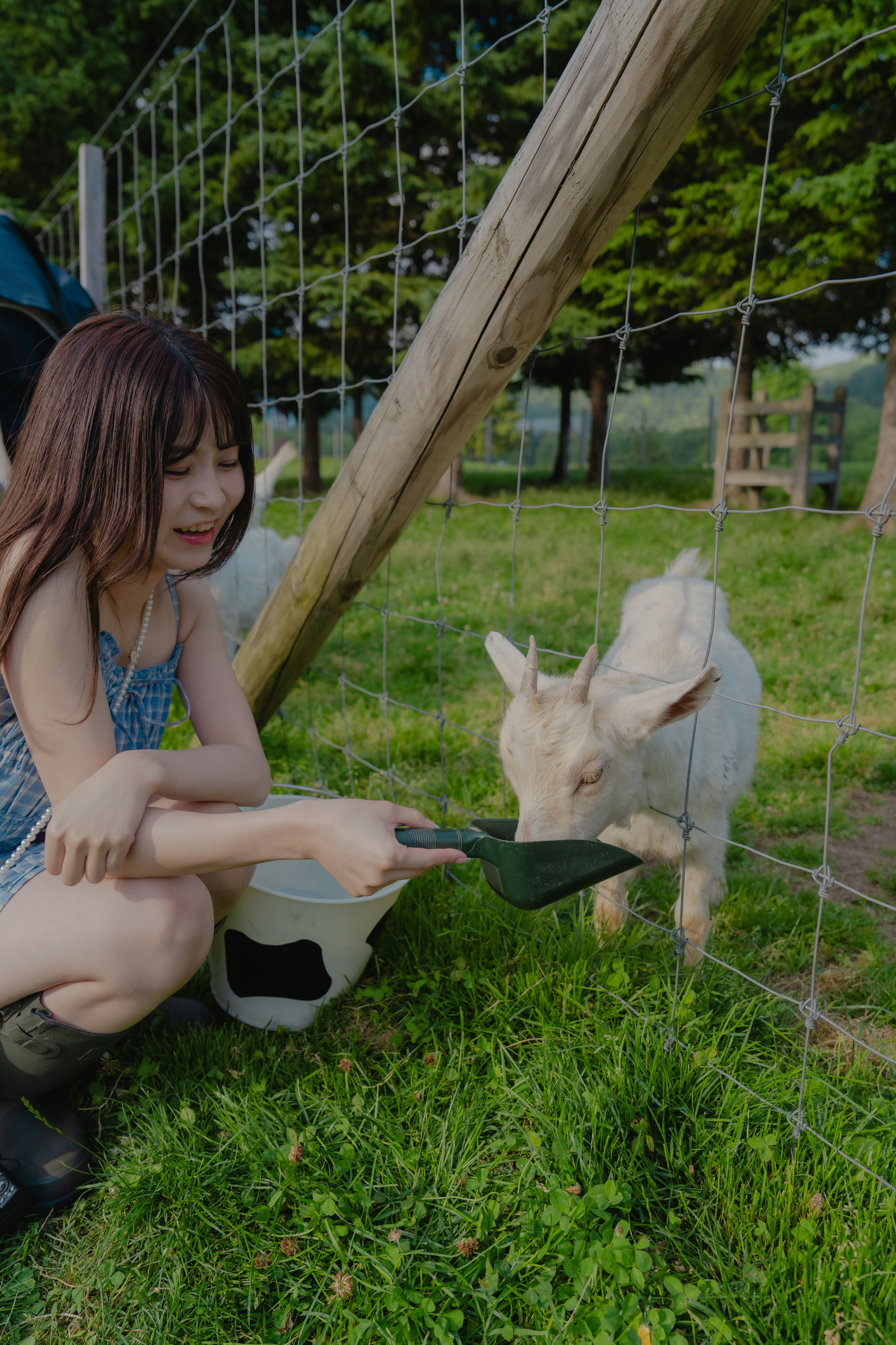 草地で子どもがヤギにえさをあげるふれあいの場