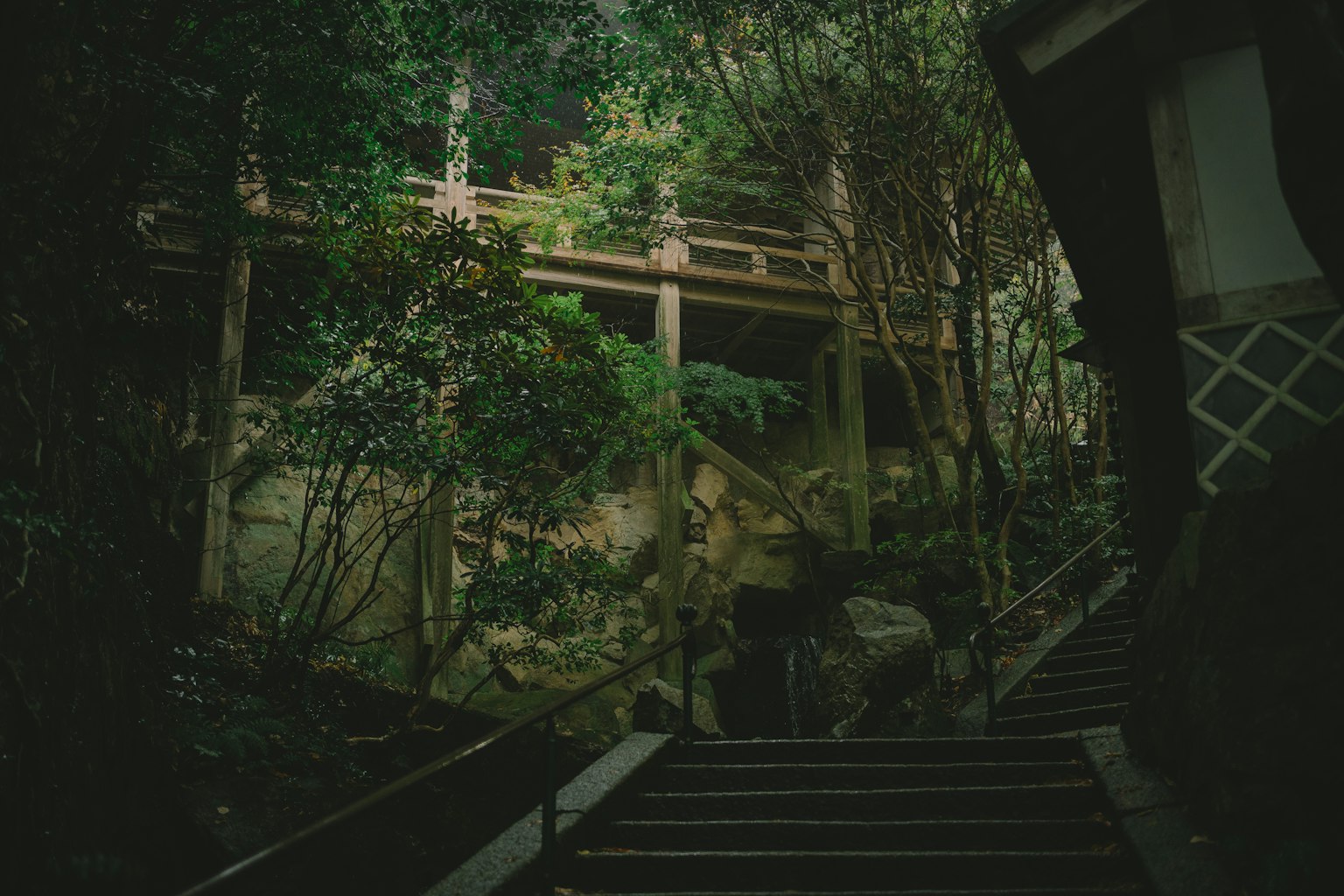 Staircase surrounded by lush greenery and wooden railing