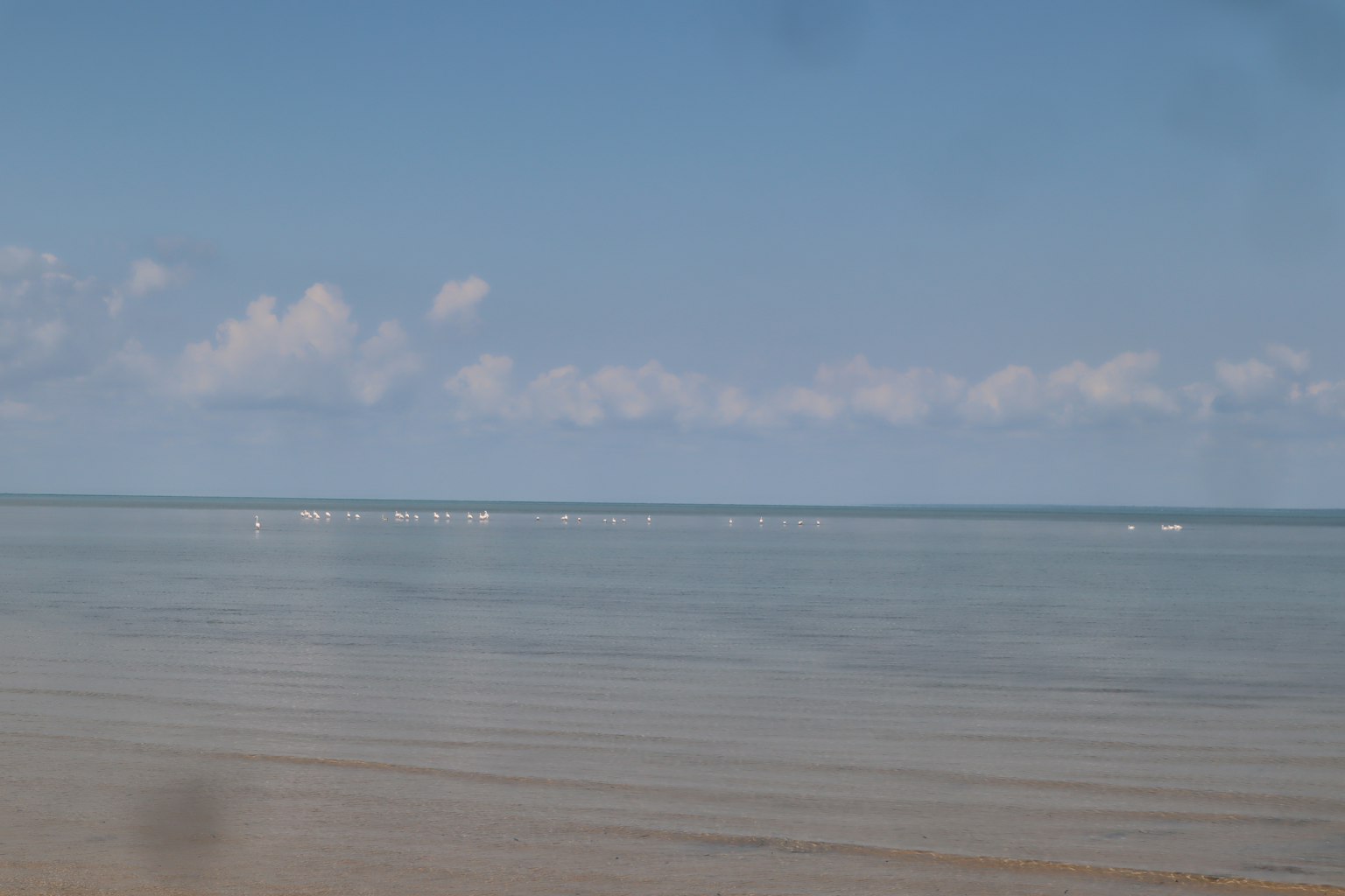 Pemandangan laut tenang dengan langit biru yang jelas