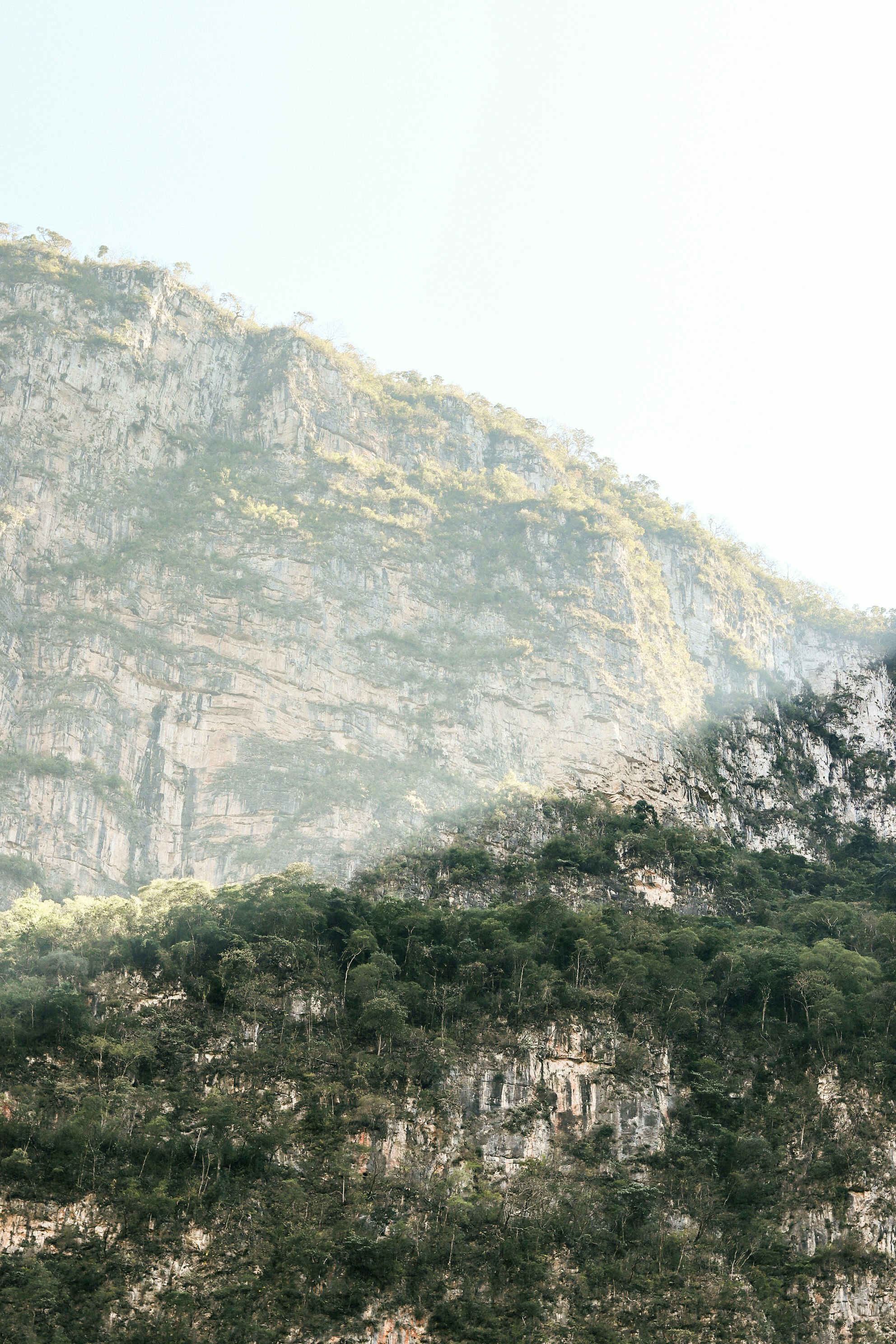 山坡森林与岩壁峡谷风景