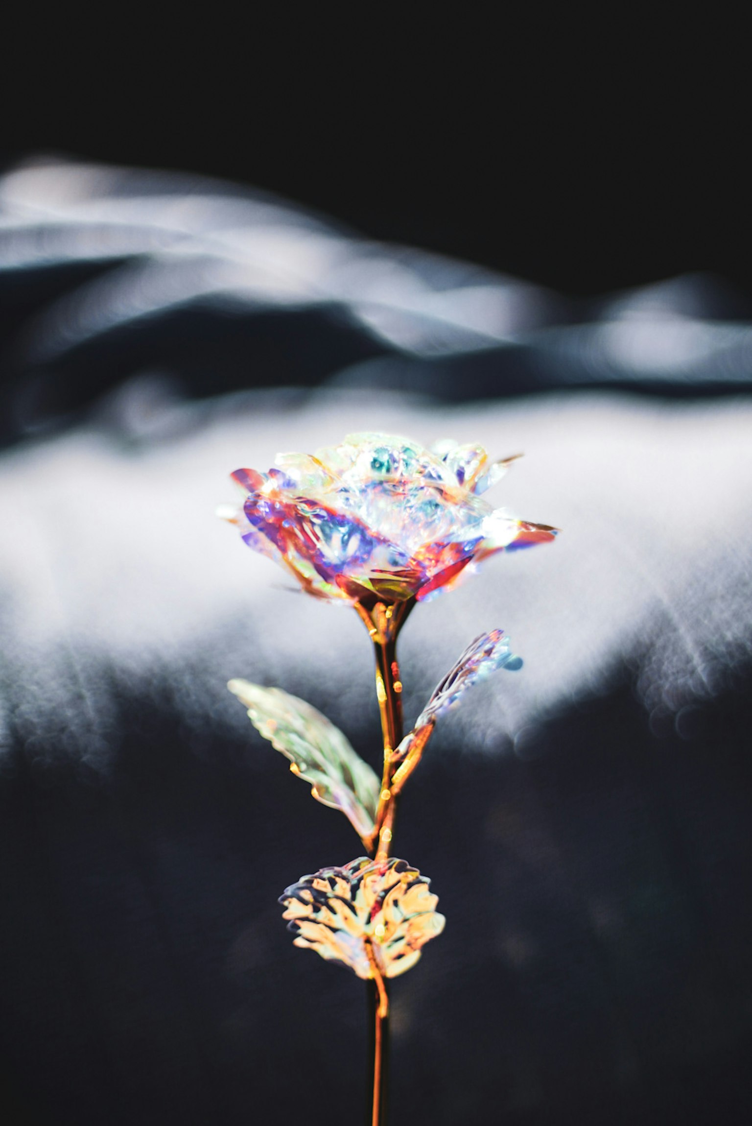 一朵色彩繽紛的金屬花在黑暗背景上顯得格外突出