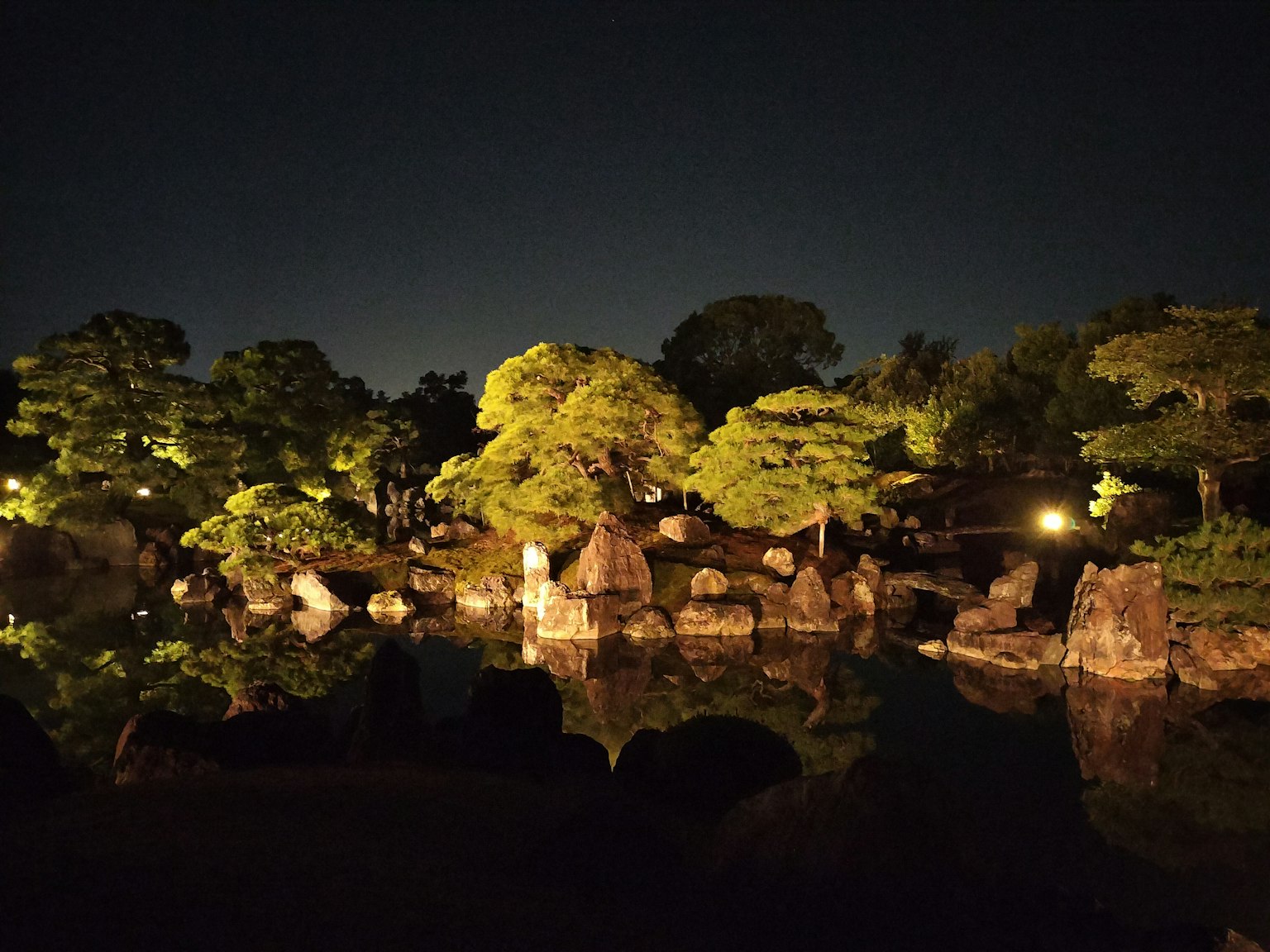 Illuminated garden at night featuring lush greenery and rocky landscape