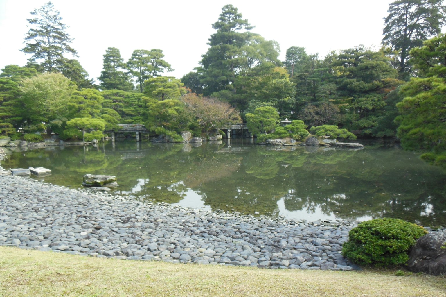 Beautiful Japanese garden with pond and lush greenery