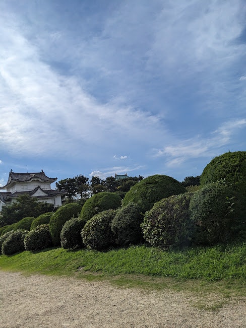 芝生の庭園と茂みの生垣、青空の下の寺院建築