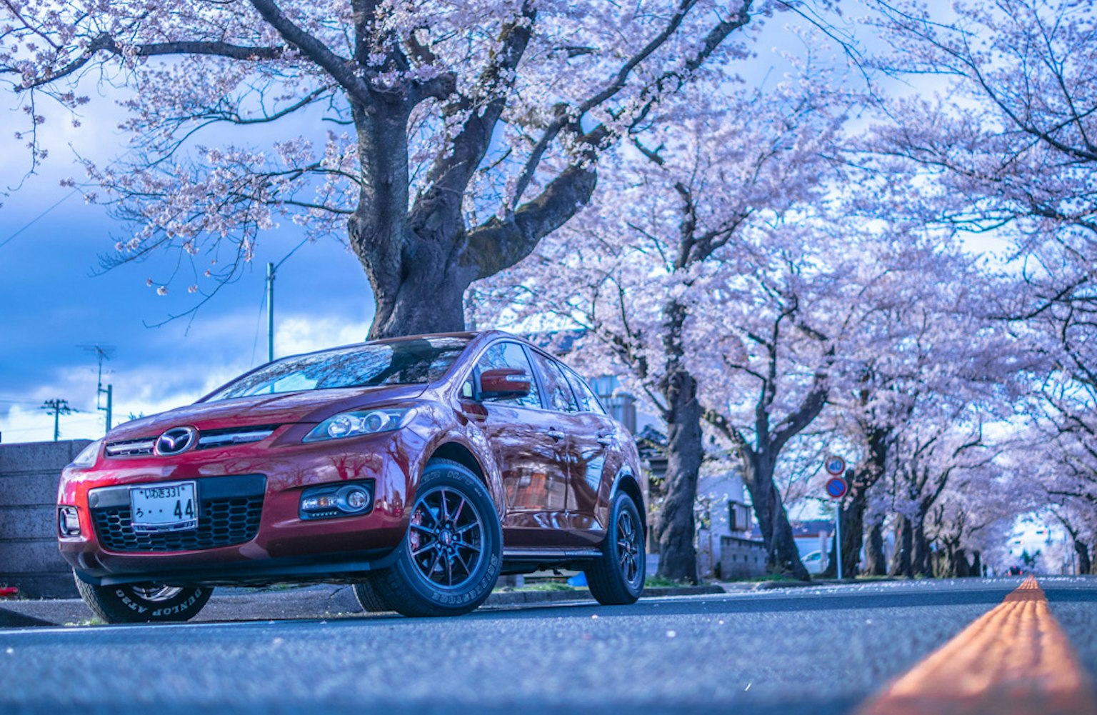 Auto rossa parcheggiata su una strada fiancheggiata da alberi di ciliegio in fiore