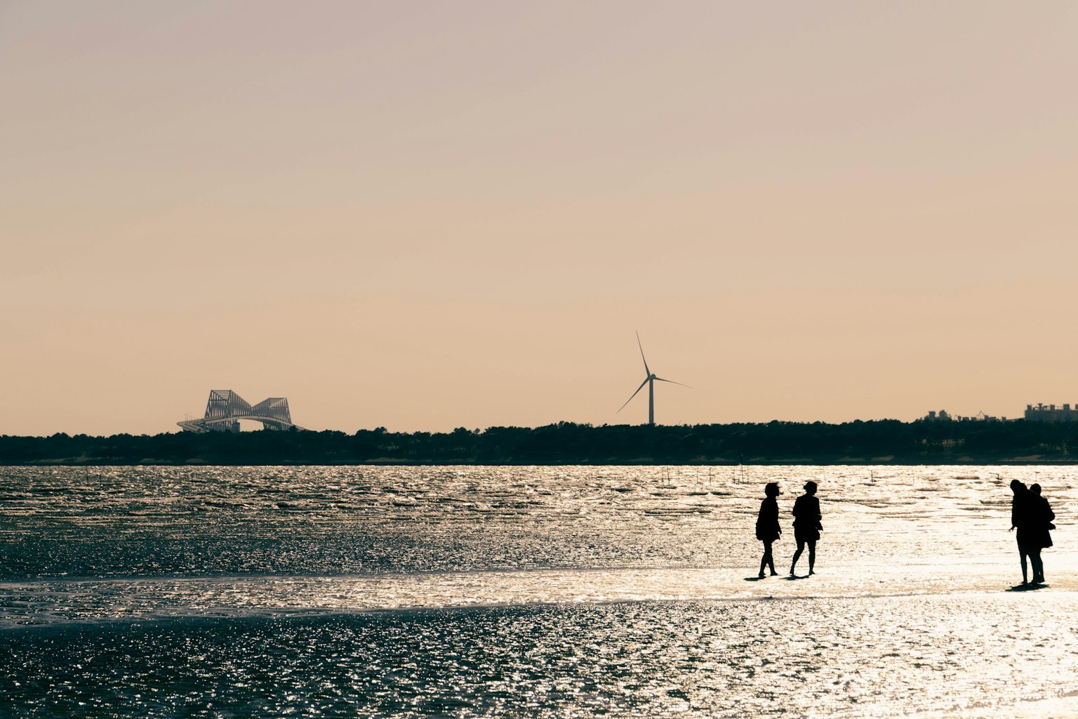 Silhouettes of people walking on the beach with a sunset background