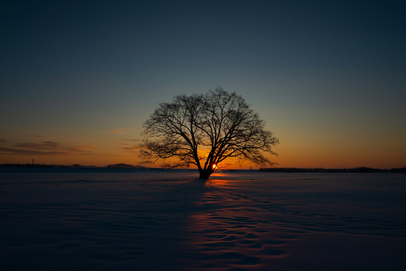 Un árbol solitario en silueta contra un vibrante atardecer sobre un paisaje nevado