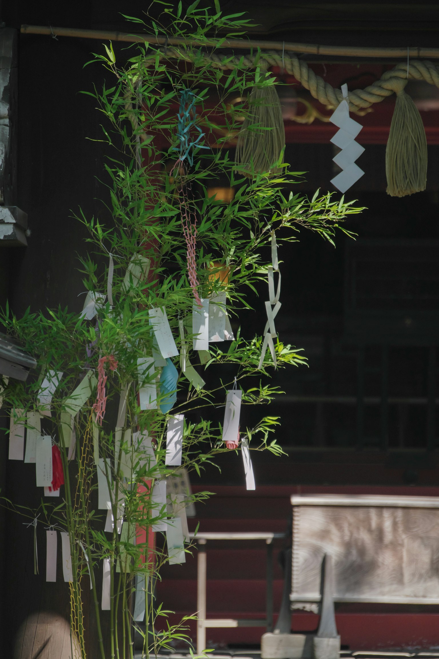Ramo di bambù decorato con tanzaku colorati e carta decorativa