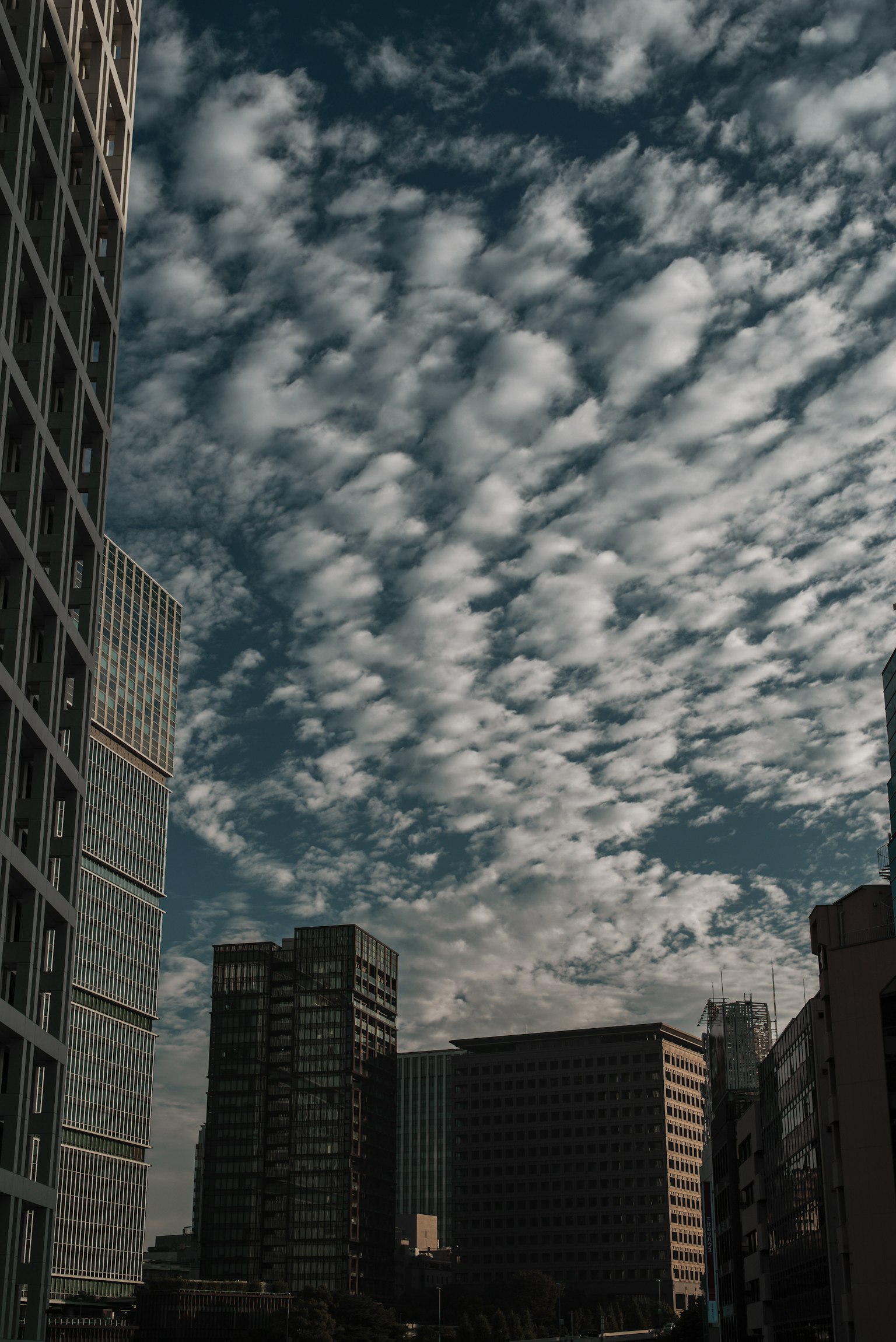 Skyline urbana con grattacieli e cielo nuvoloso