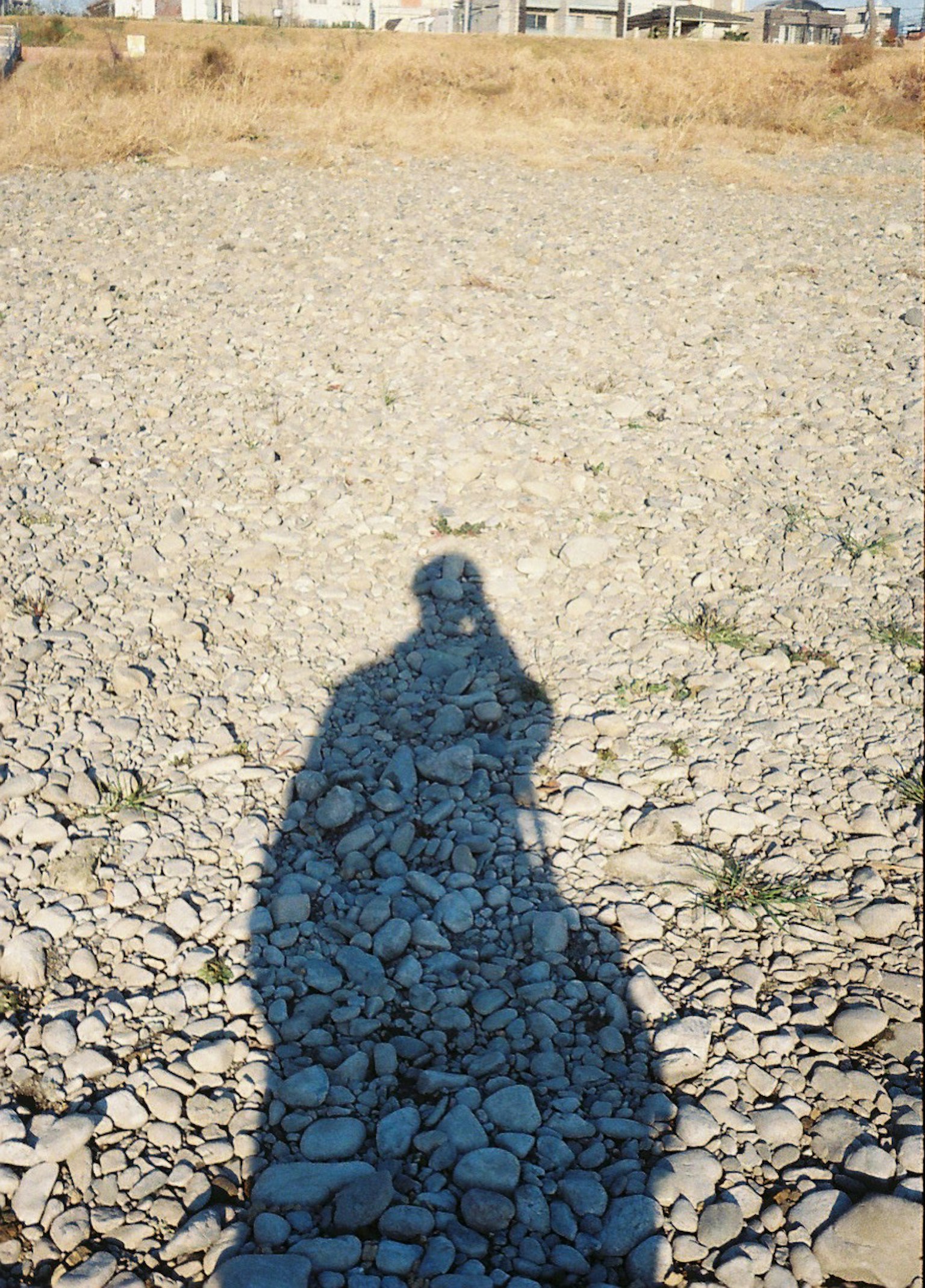 陰影投射在乾燥的石質地面上