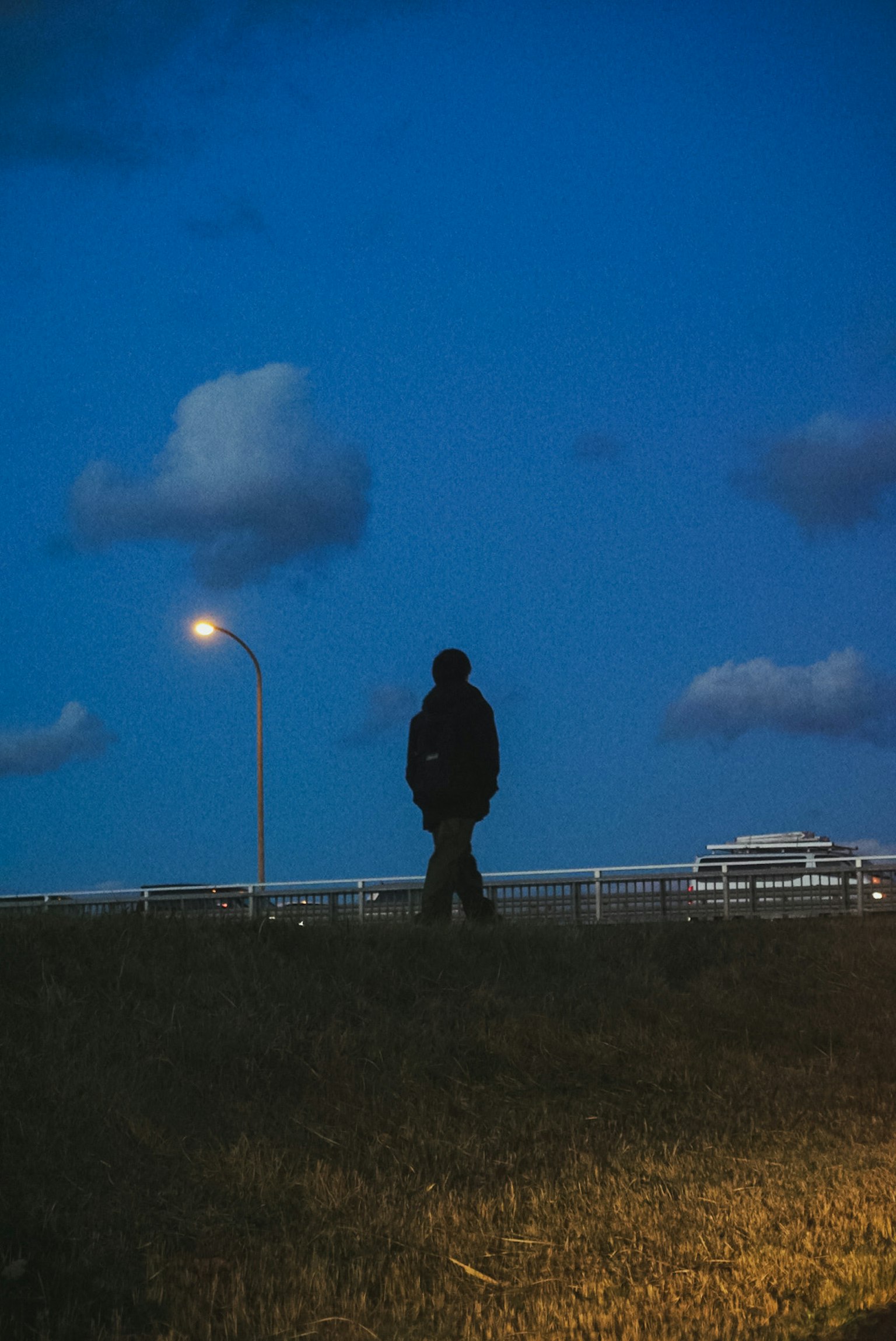 在蓝色夜空下靠近路灯的人物轮廓
