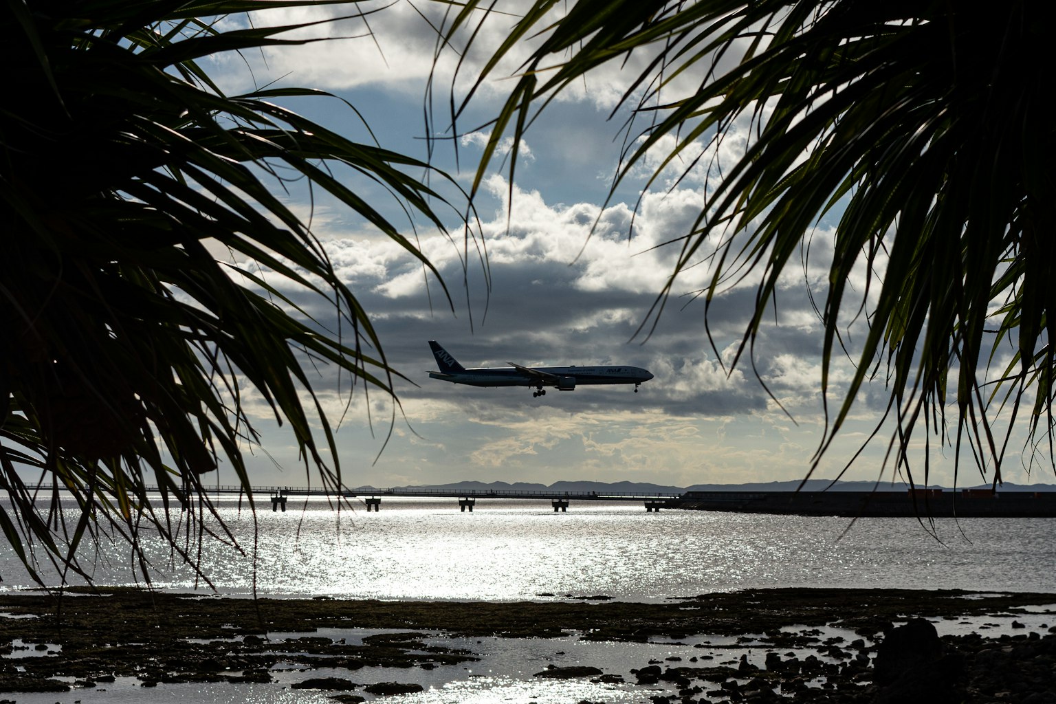 Silhouette eines Flugzeugs, das über das Meer in der Nähe eines Flughafens fliegt Palmenblätter im Vordergrund mit bewölktem Himmel