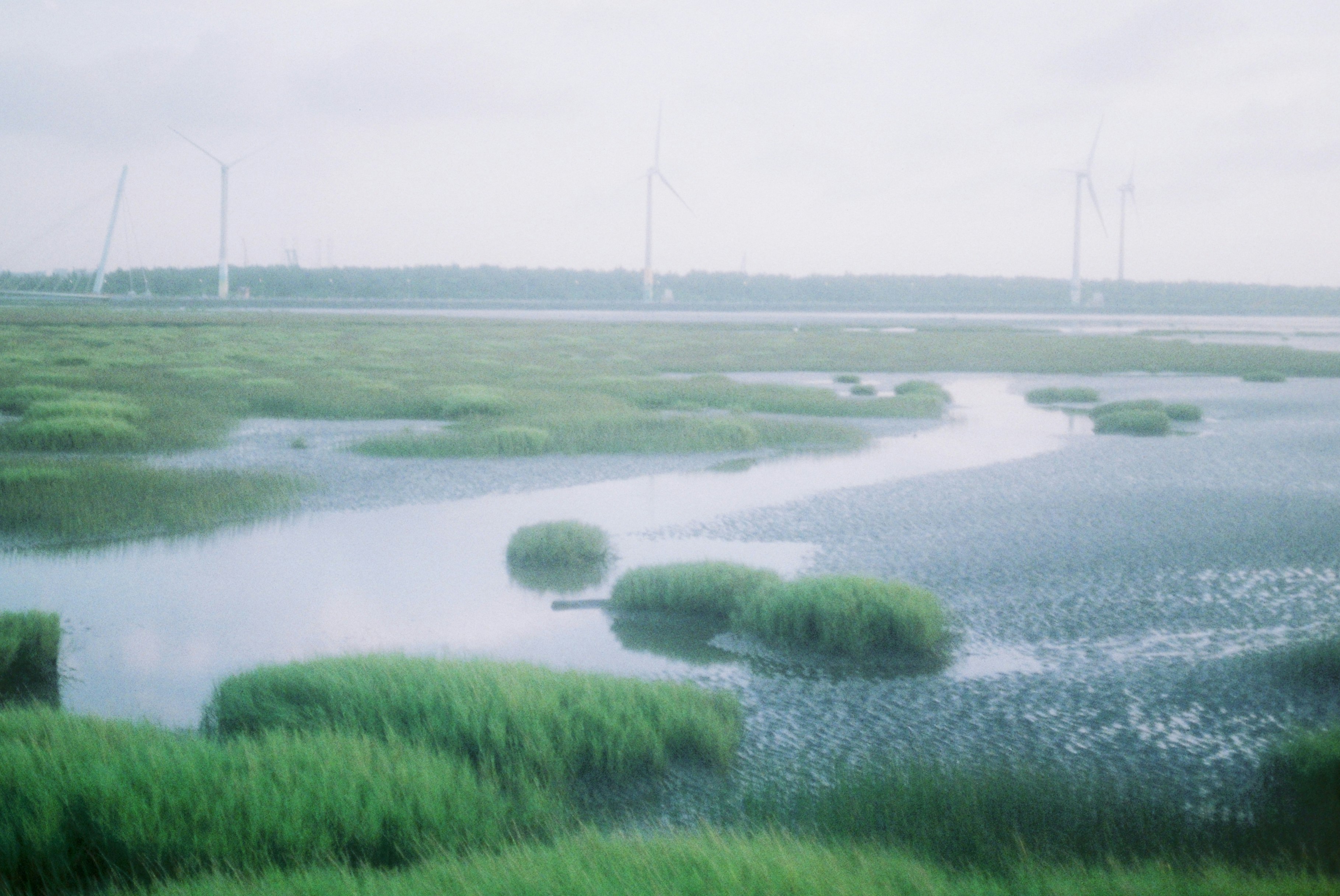 川沿いの緑の湿地と遠くの橋のある風景