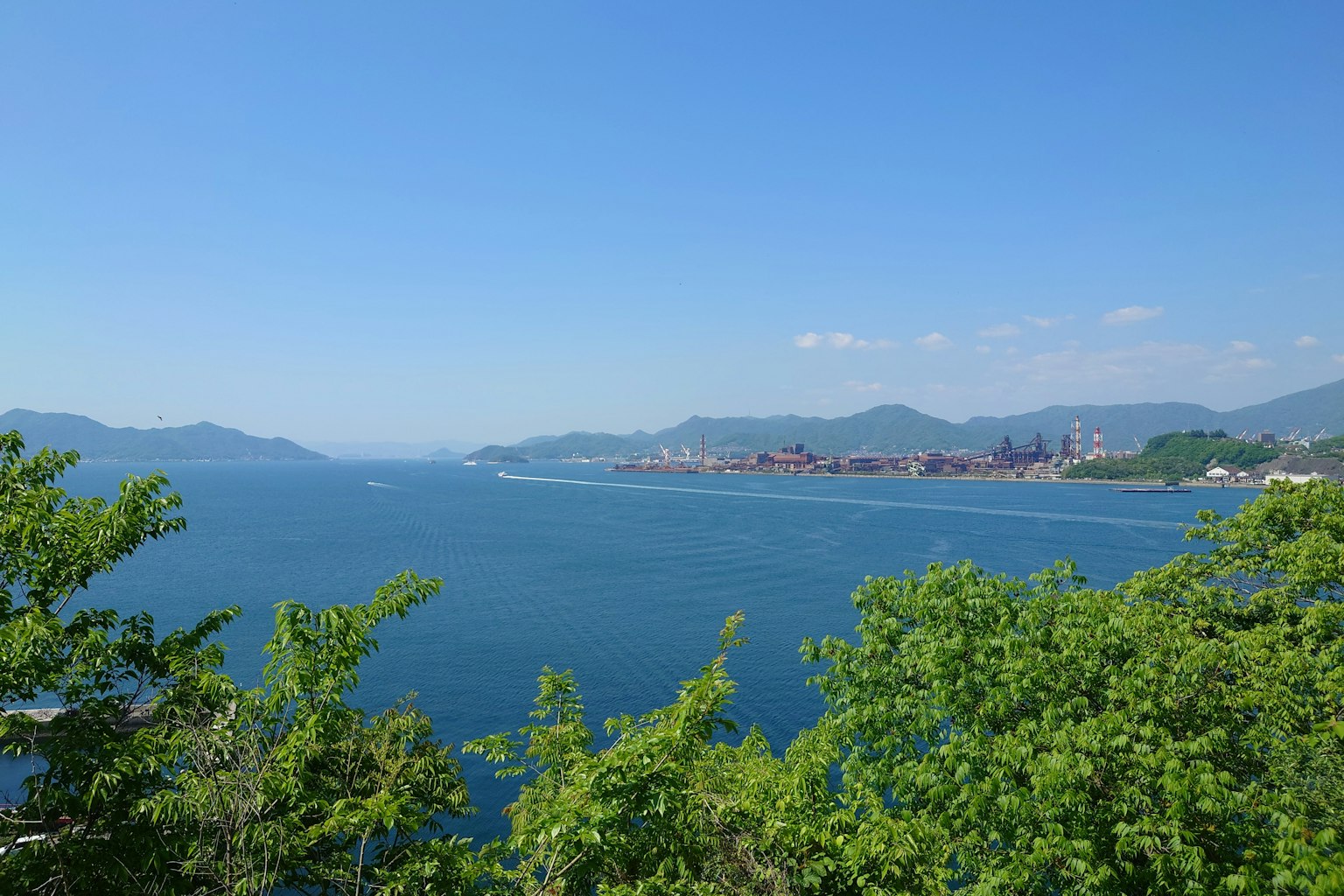 蓝色海洋的风景，绿色树叶和背景中的山脉
