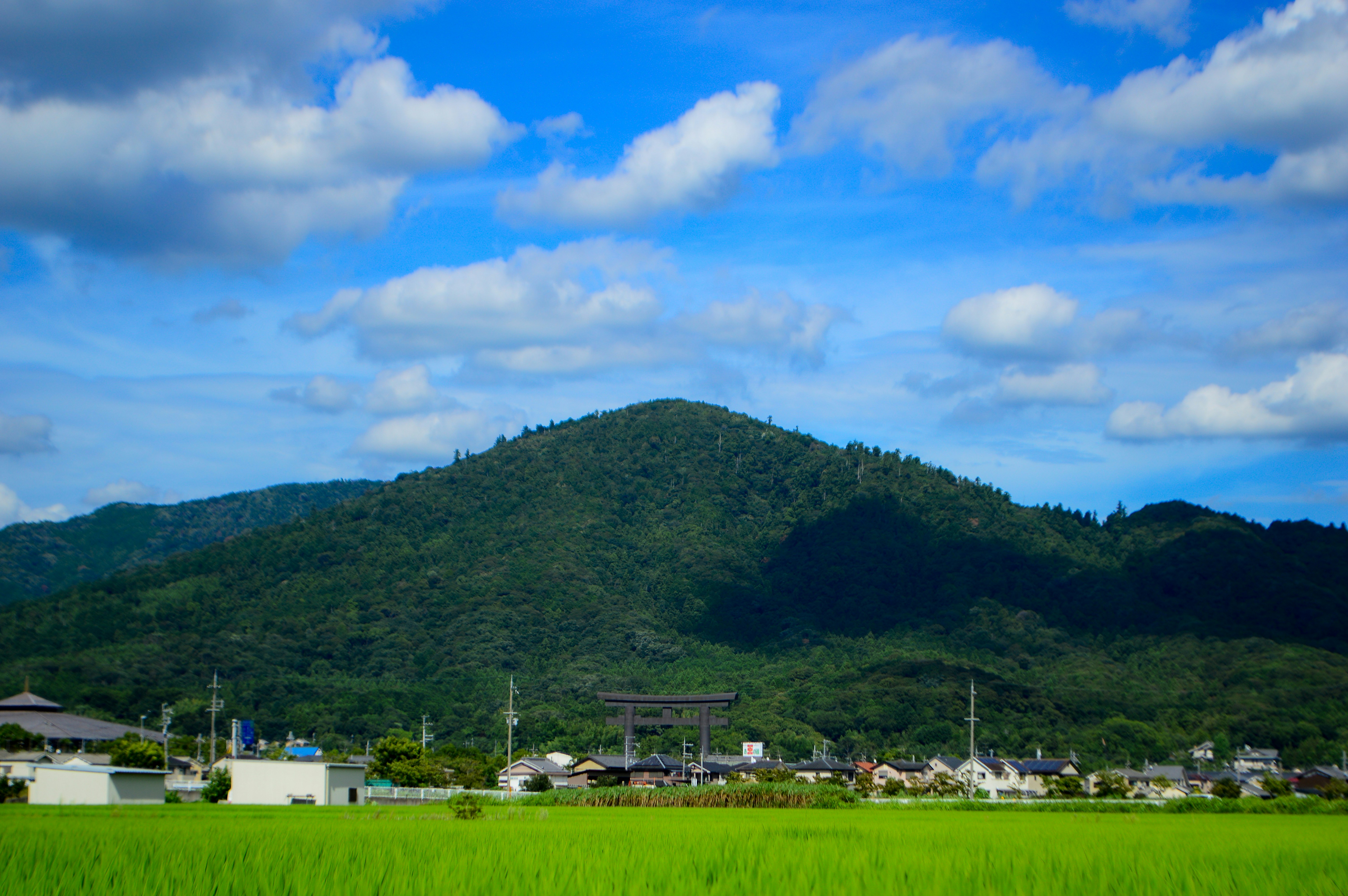 緑の田畑と山並みが広がる風景