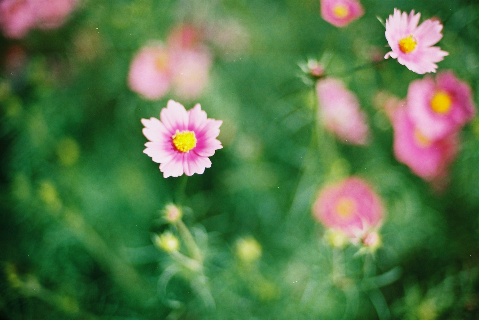photo-YIpMh8sFwiUN4Ejv8xJX-image