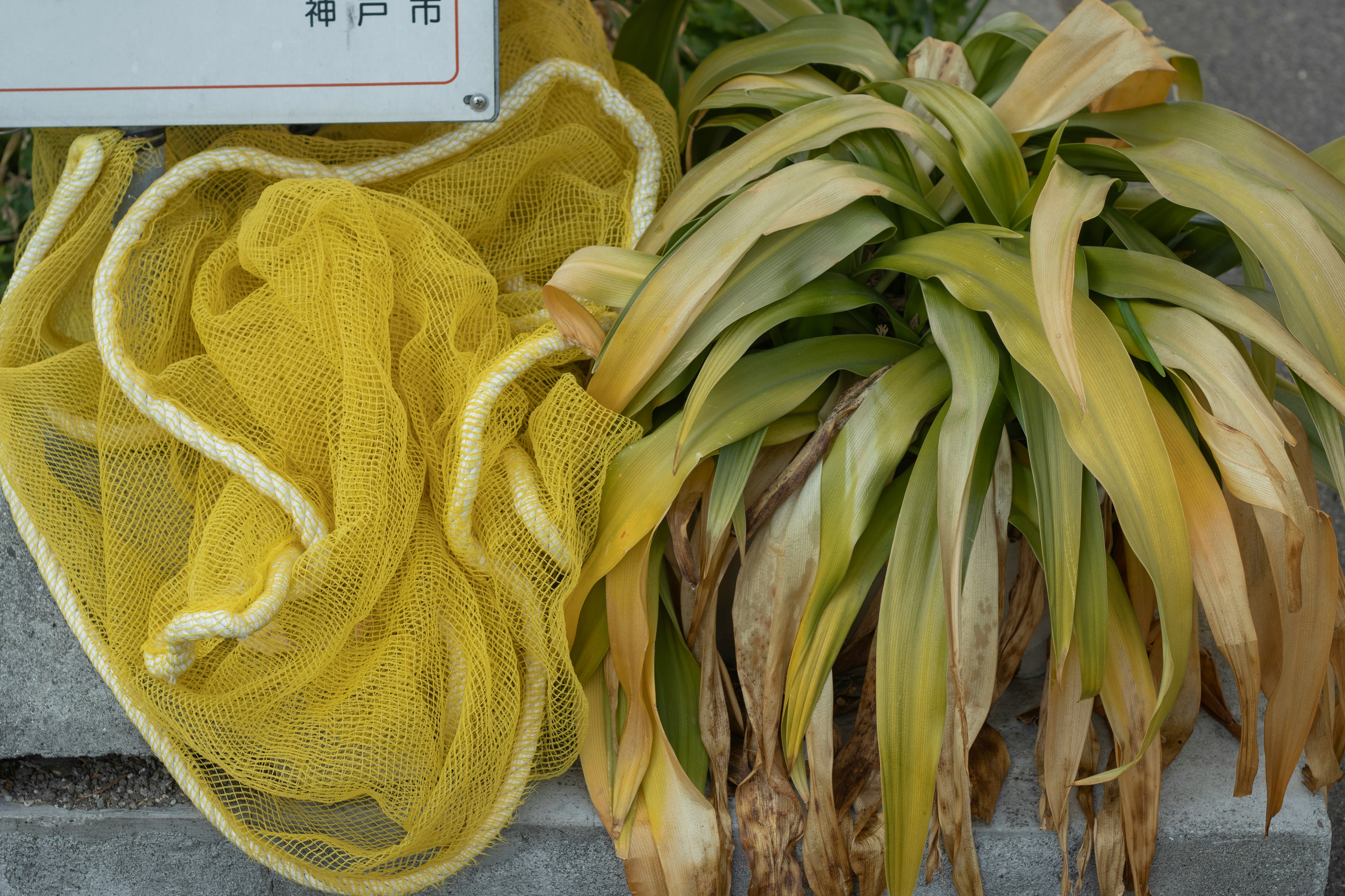puerros y una bolsa de tela en un mercado en Kobe