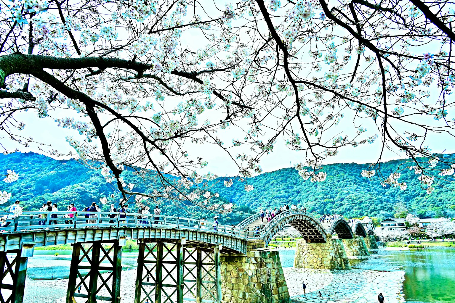 photo-YJRFGGKTpWQSXRsl5AtN-image